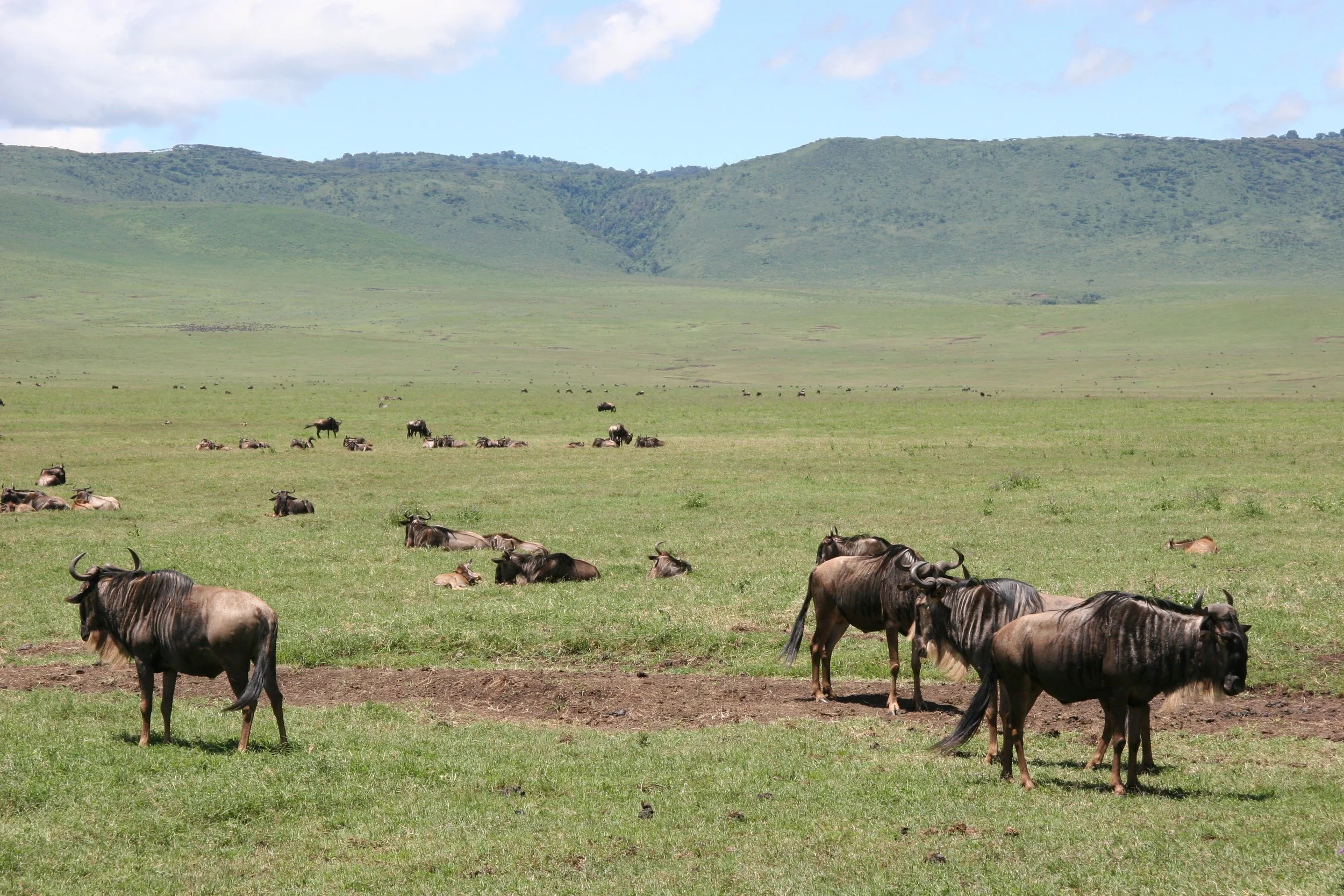 D 2008-4 Zanzibar and Tanzania 11.jpg