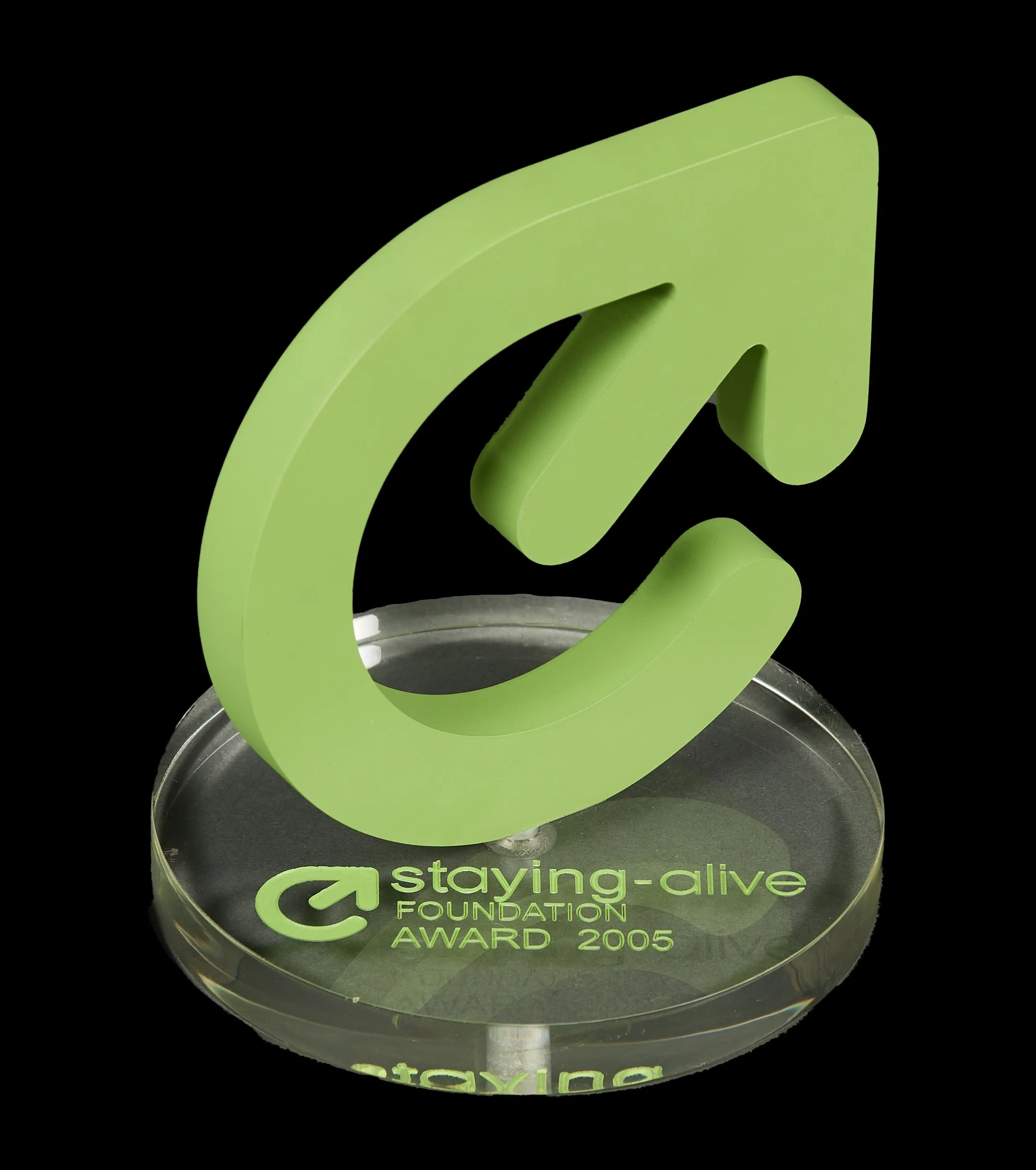 2005 MTV Staying Alive Foundation Award