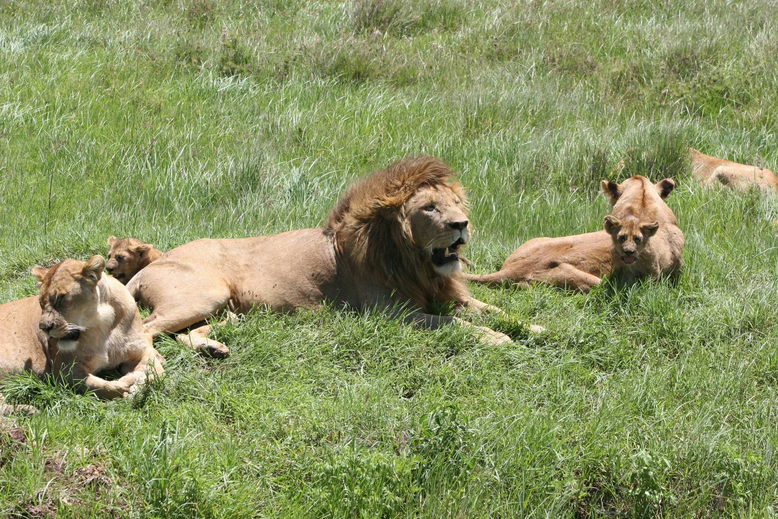 D 2008-4 Zanzibar and Tanzania 5.jpg