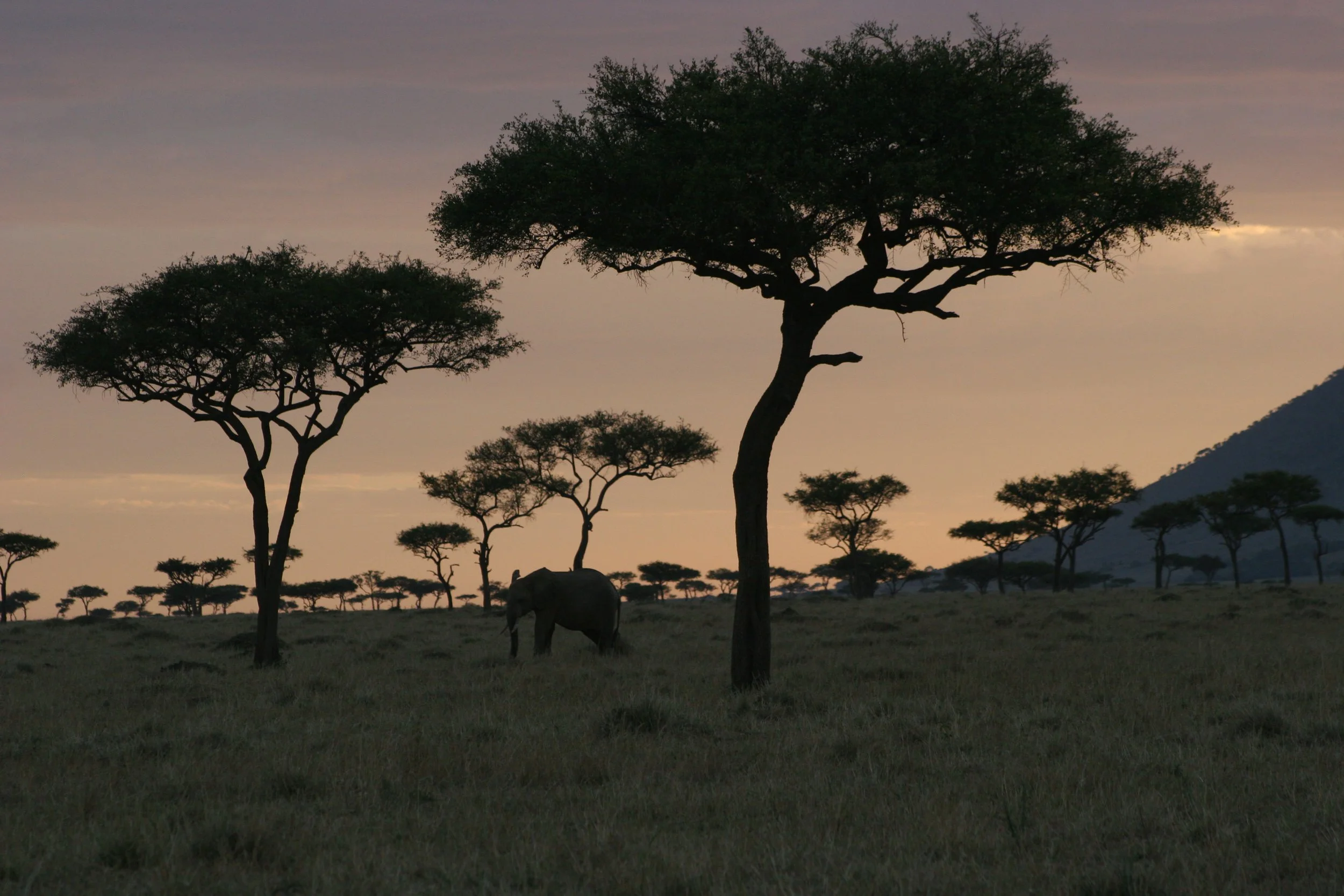 E 2009-10 Kenya 28.jpg