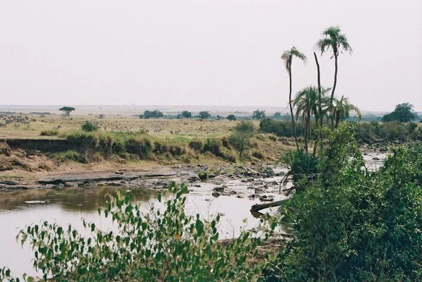 B 2005-2 Kenya 8.jpg