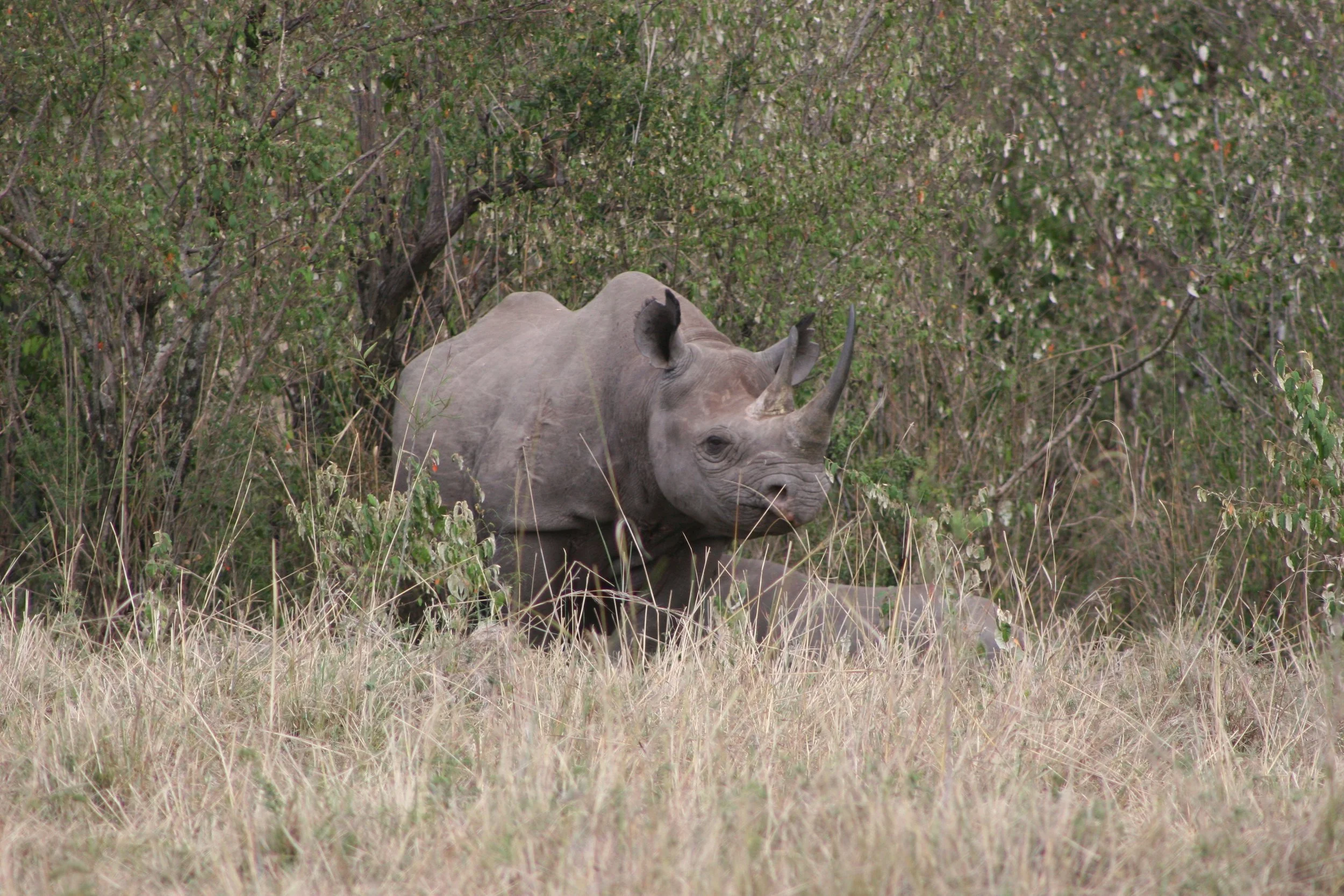 E 2009-10 Kenya 9.jpg