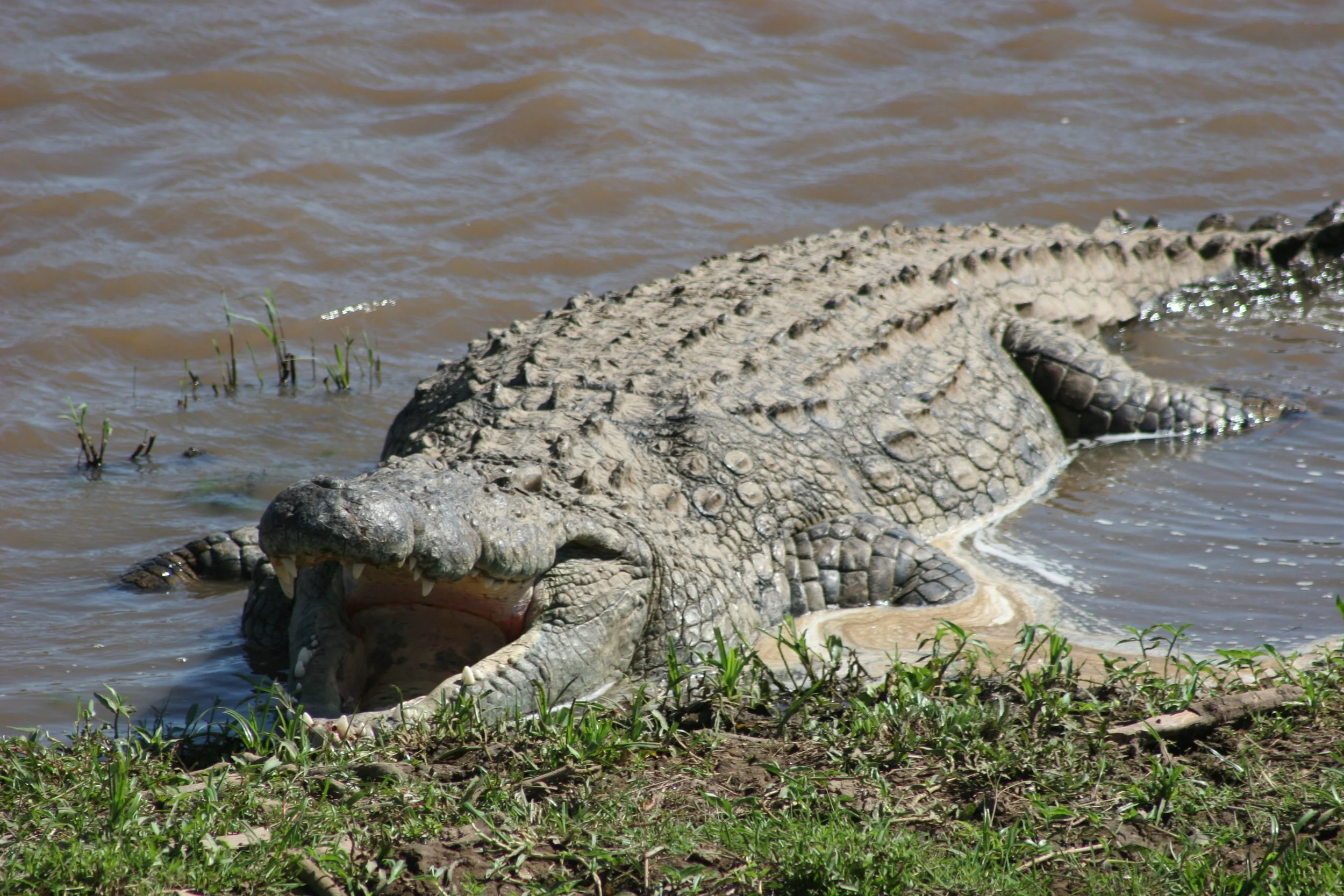 E 2009-10 Kenya 55.jpg