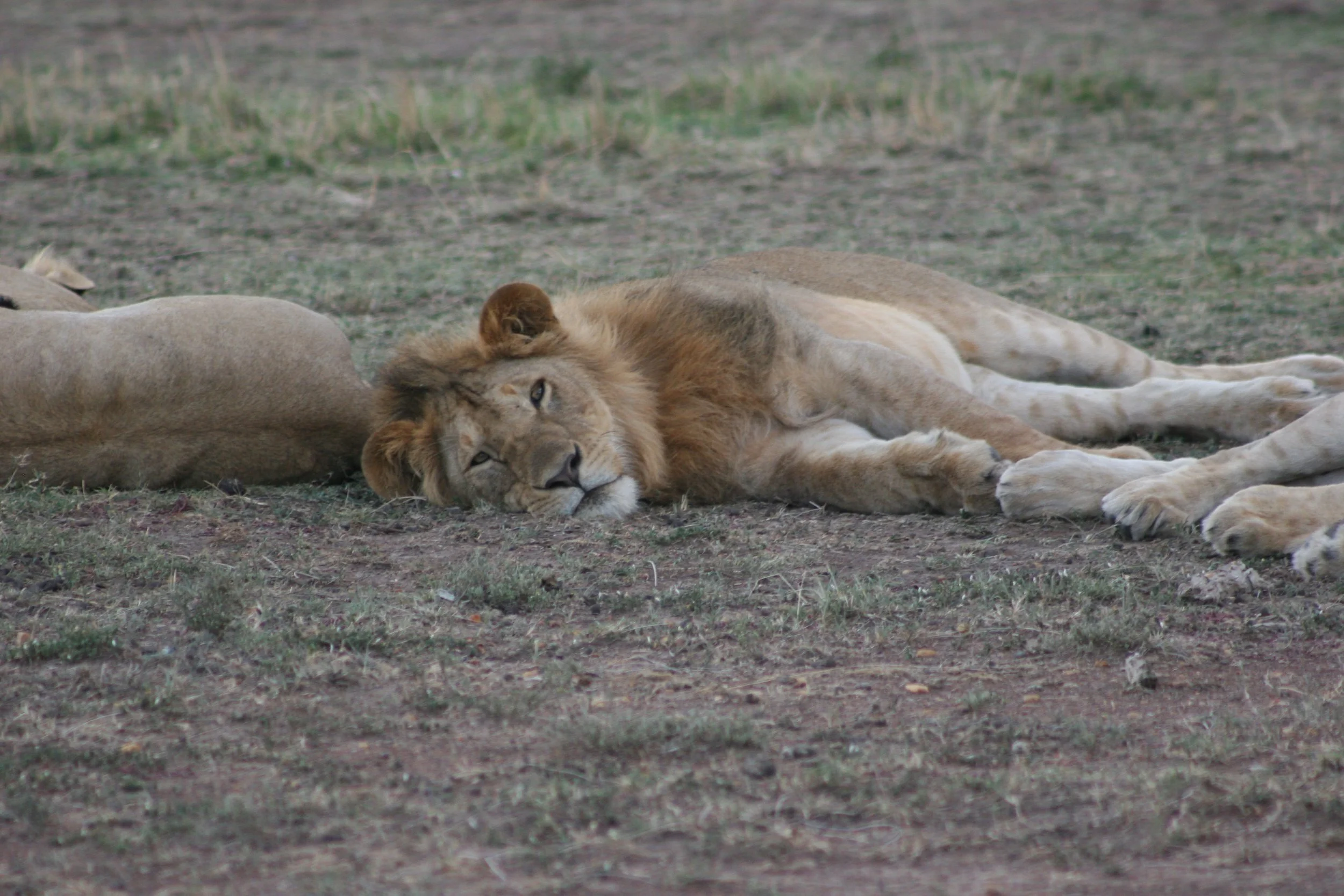 E 2009-10 Kenya 26.jpg