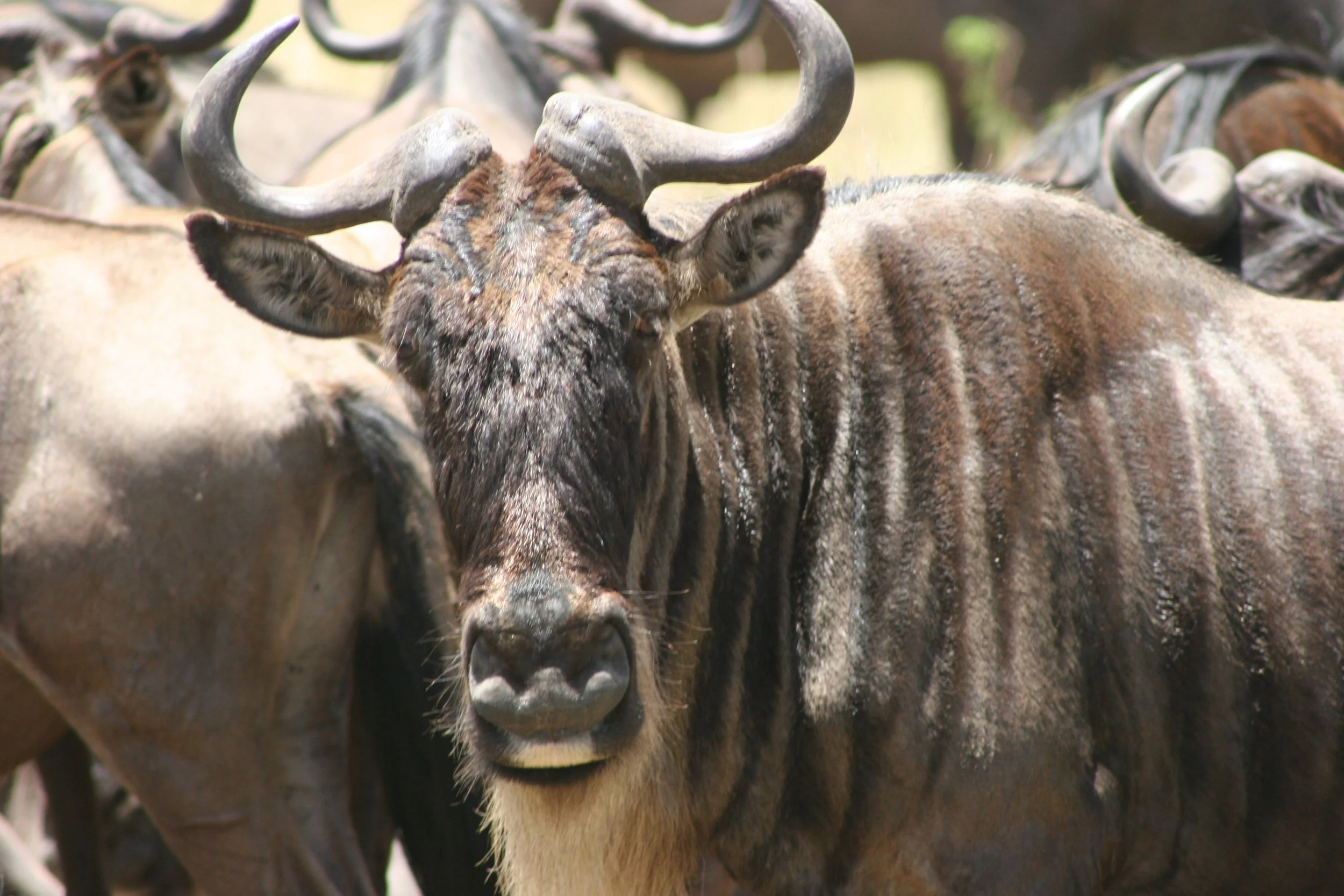 E 2009-10 Kenya 6.jpg