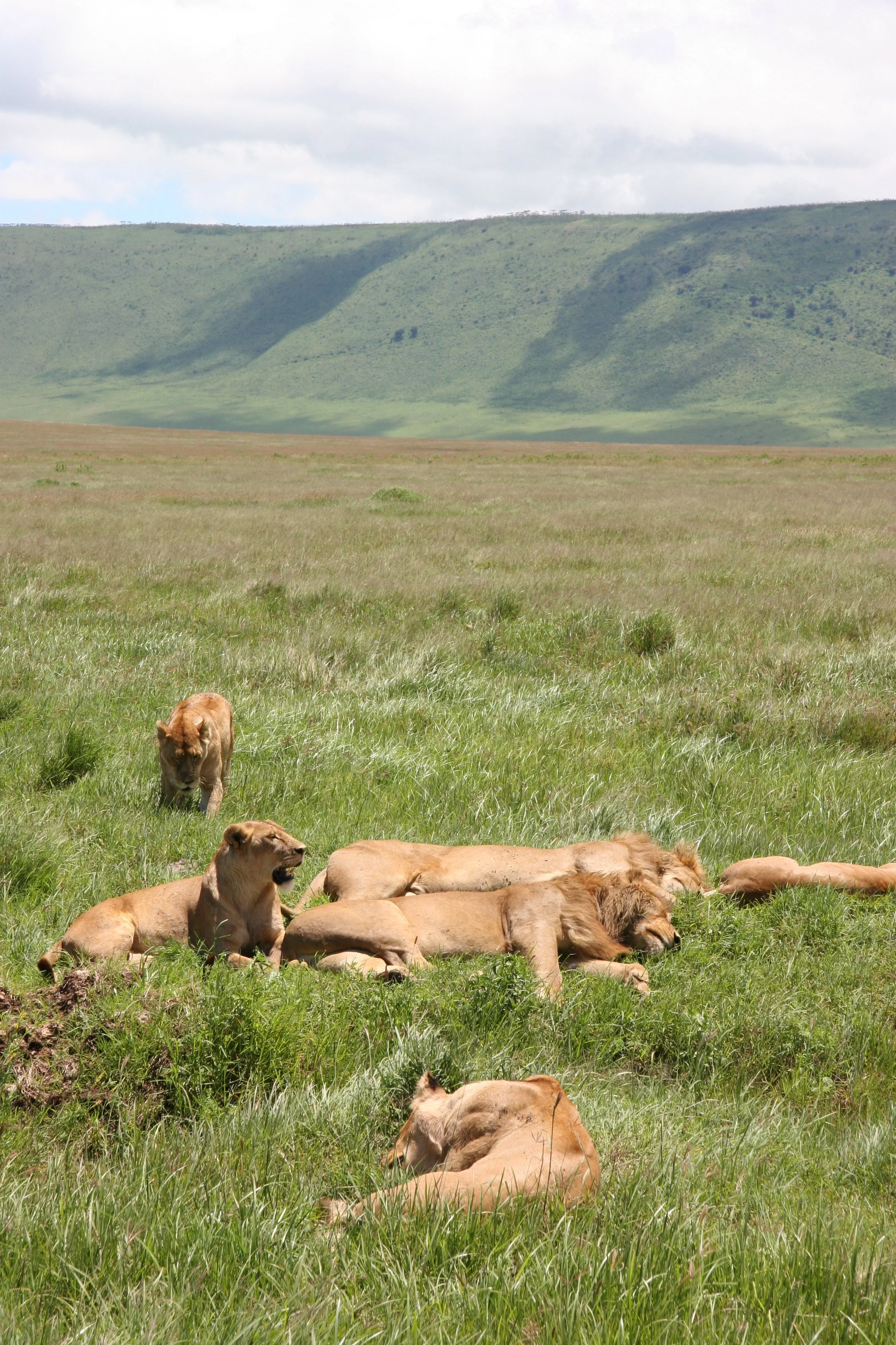D 2008-4 Zanzibar and Tanzania 10.jpg