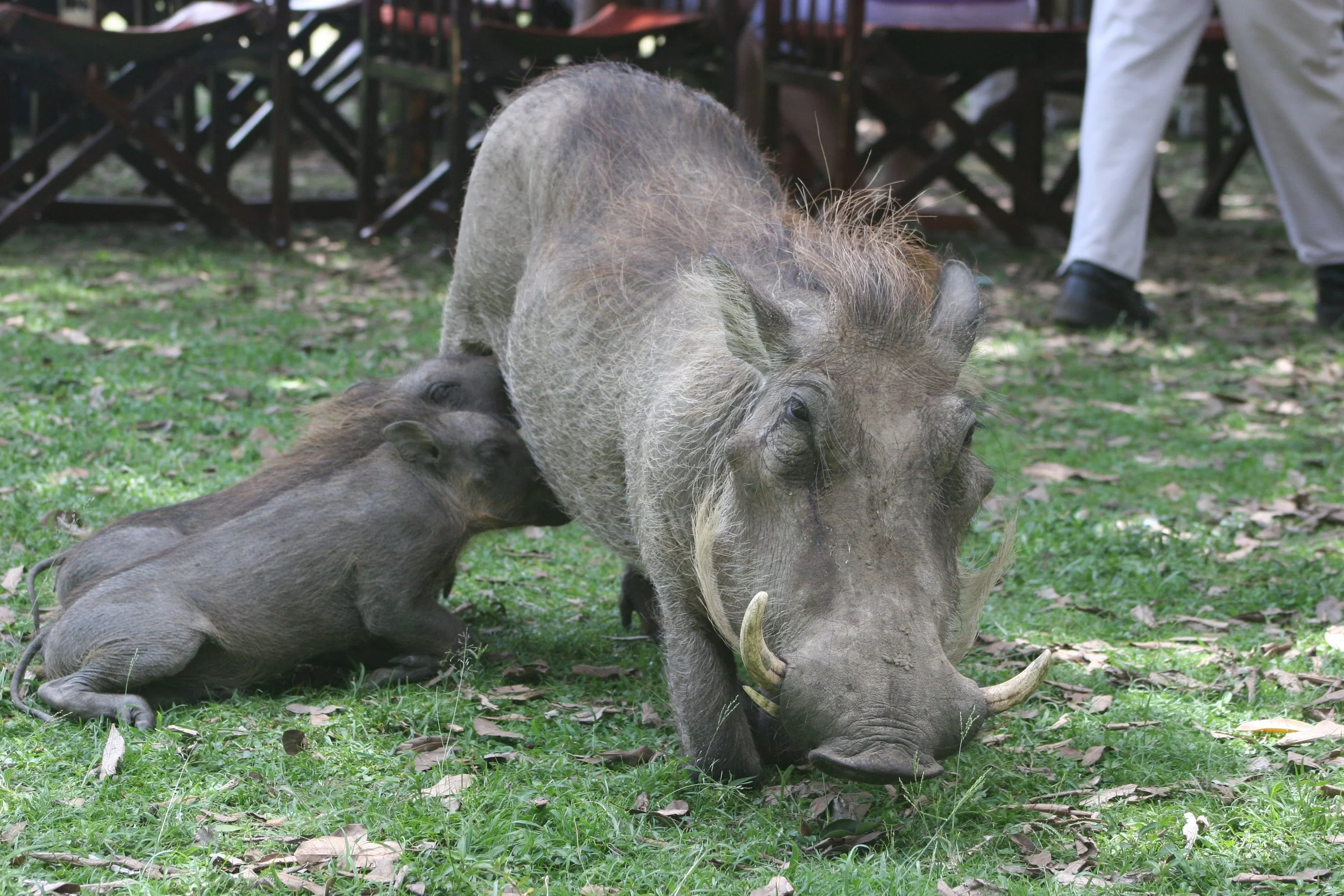 E 2009-10 Kenya 7.jpg
