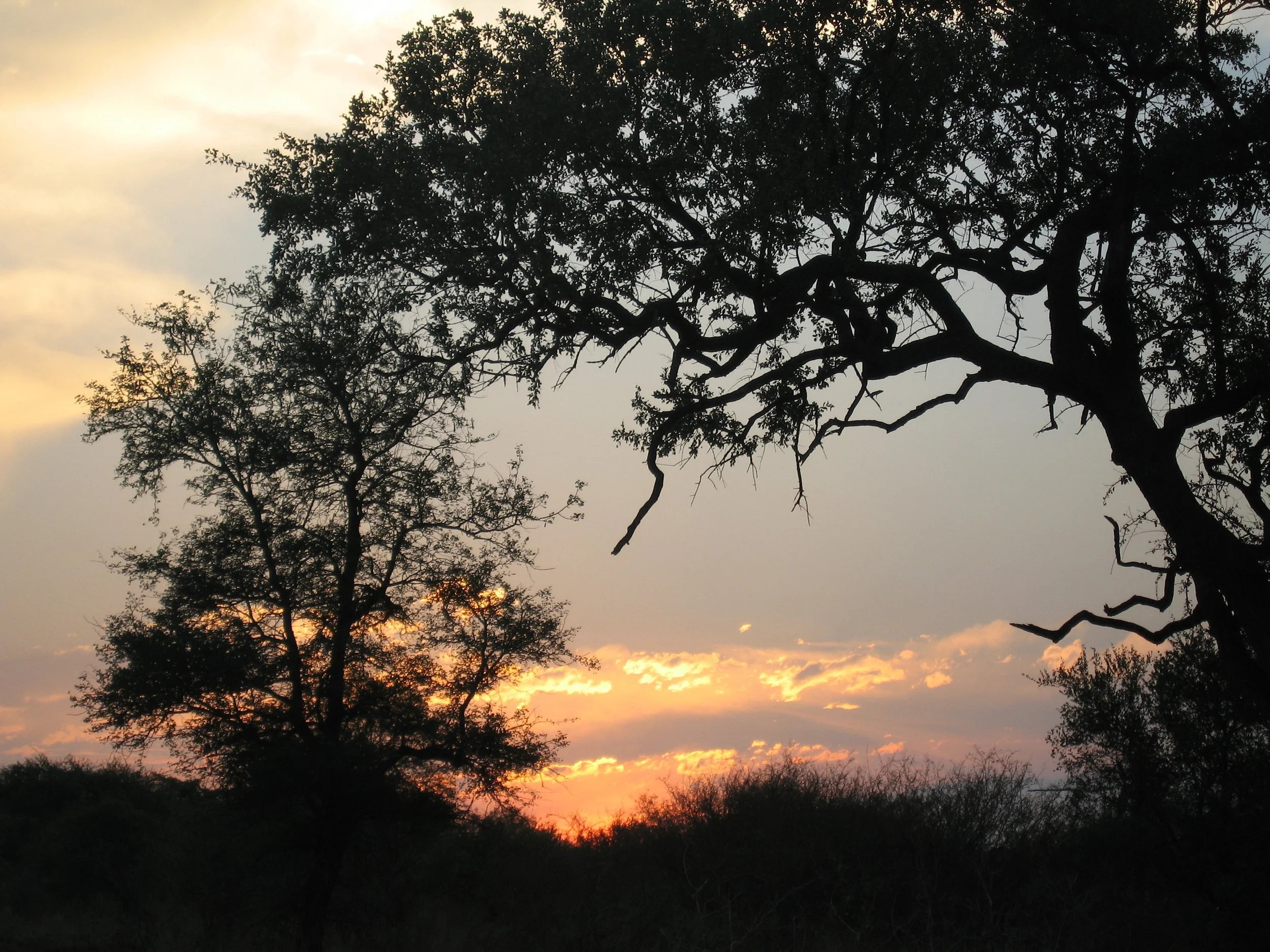 C 2005-2 S Africa3.jpg