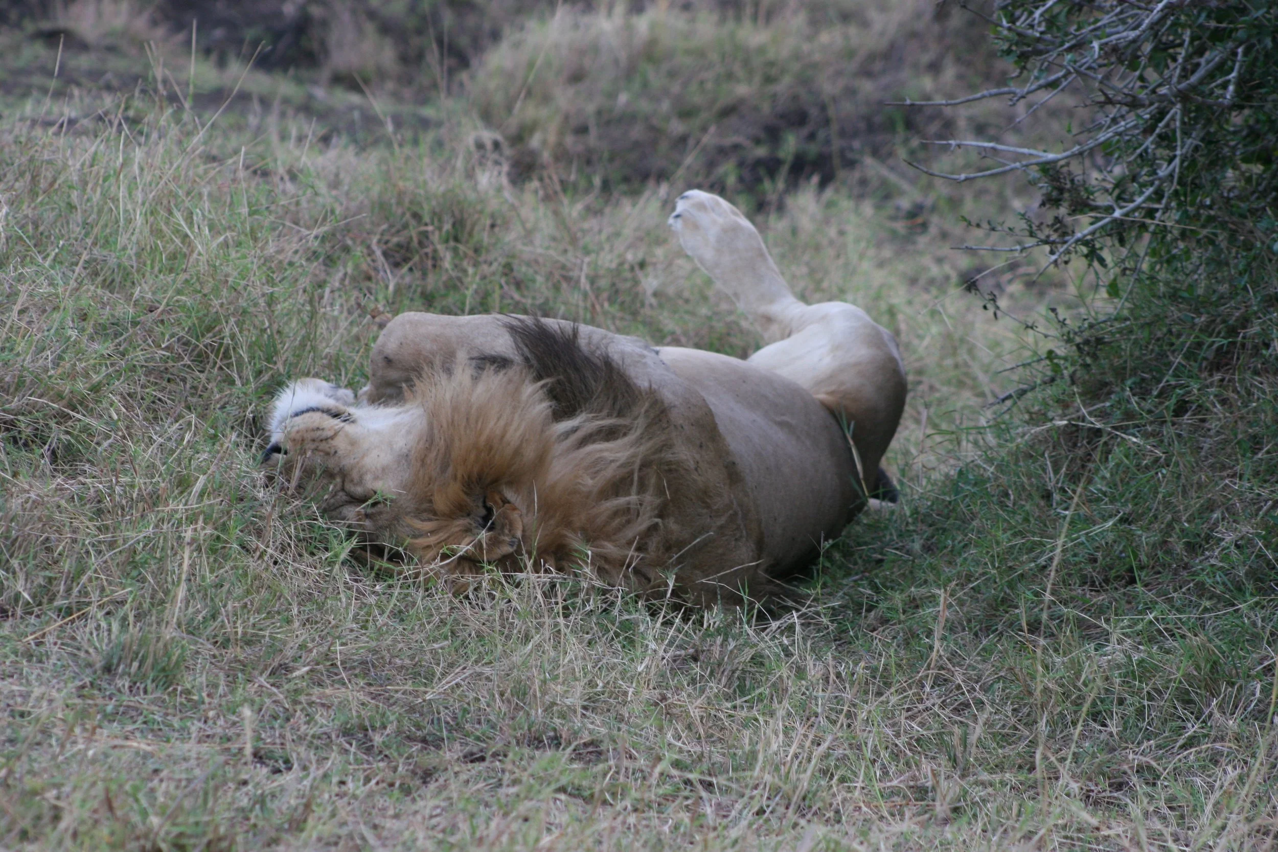 E 2009-10 Kenya 12.jpg