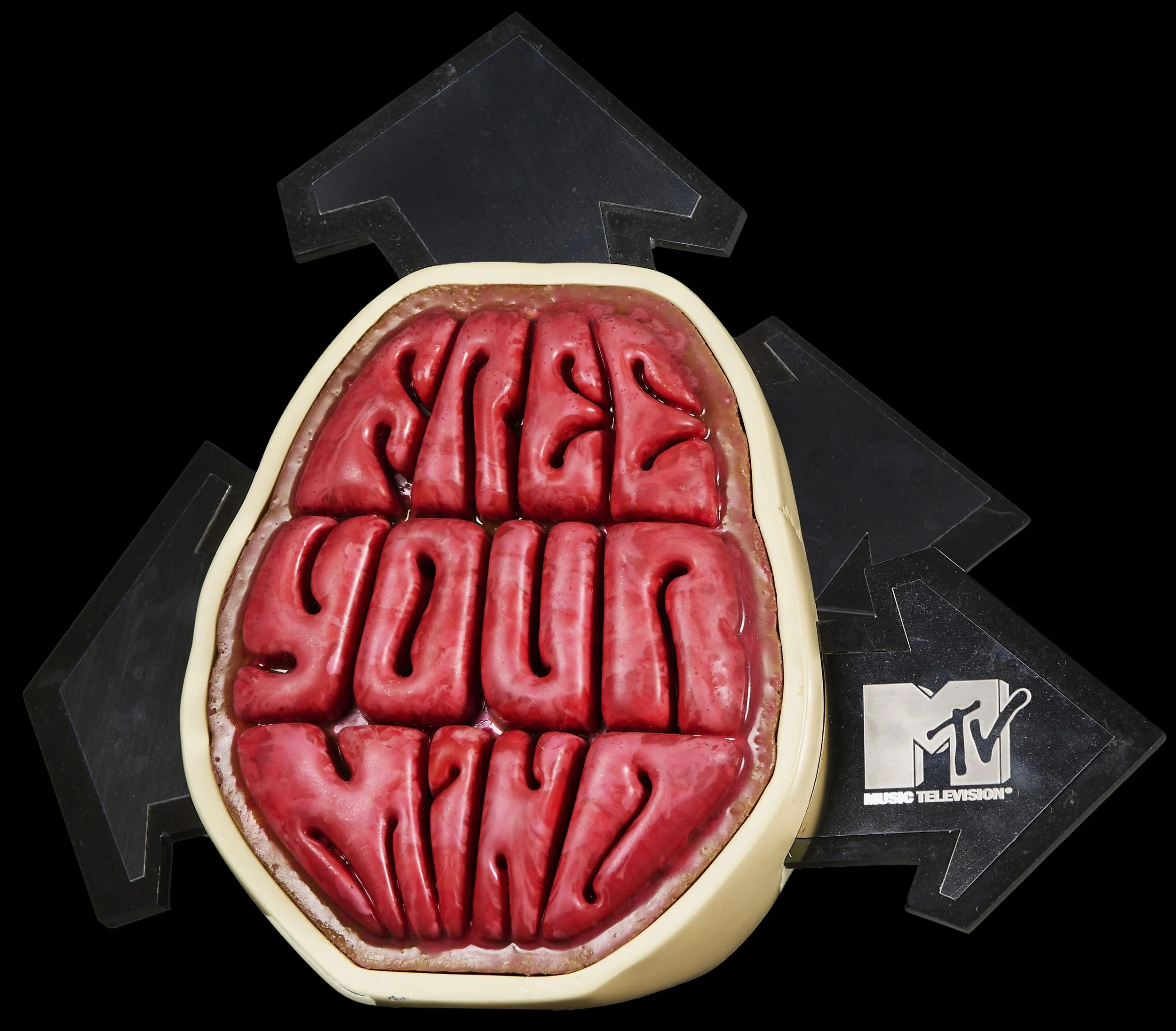 2009 MTV Free Your Mind award