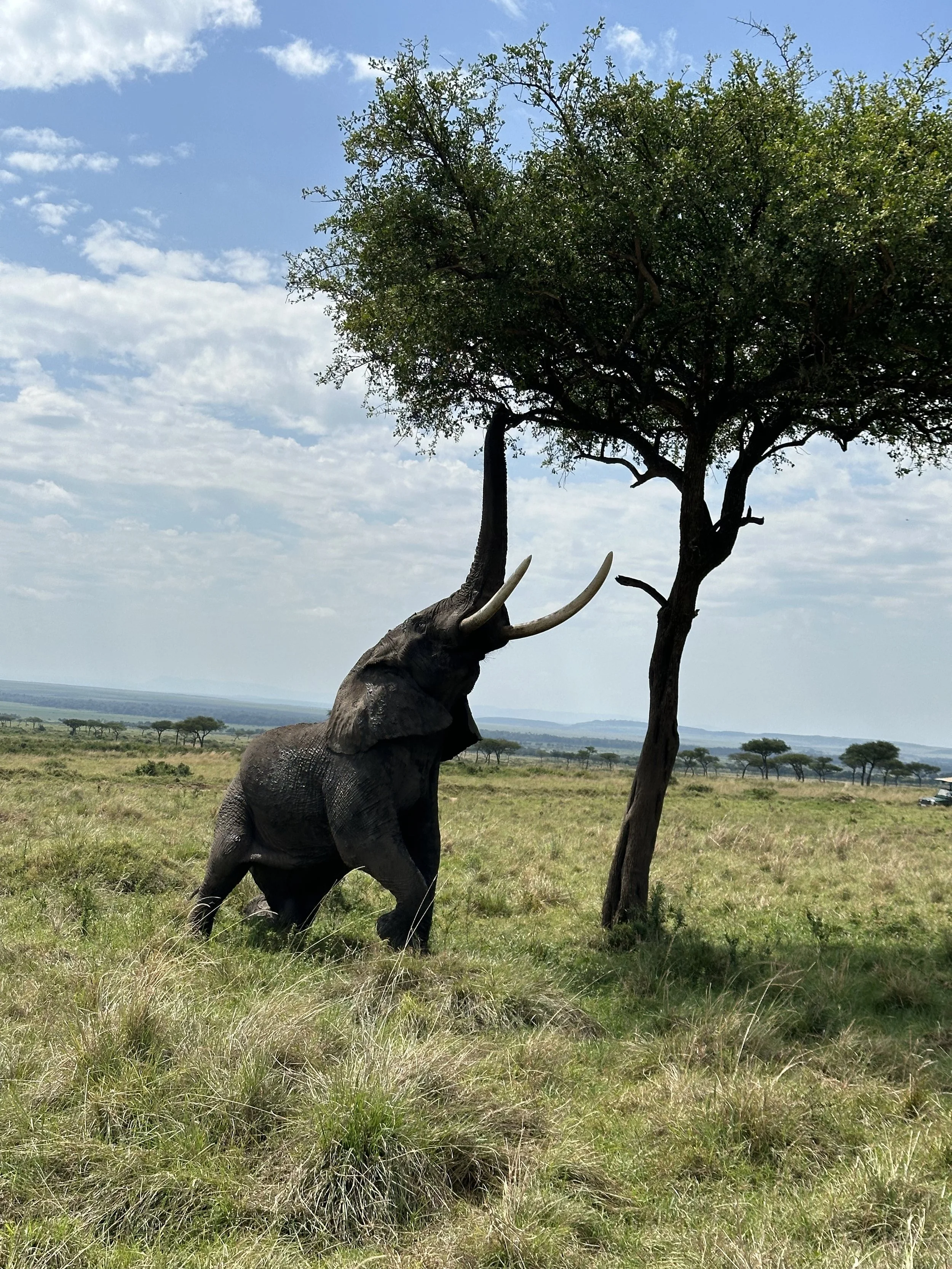 G 2024 Kenya 13.jpeg
