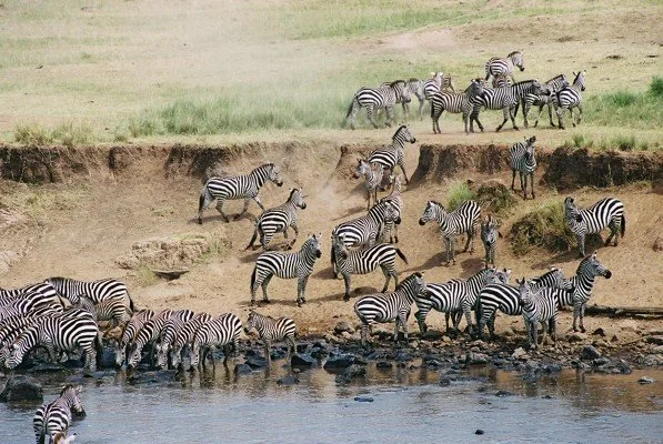 B 2005-2 Kenya 12.jpg