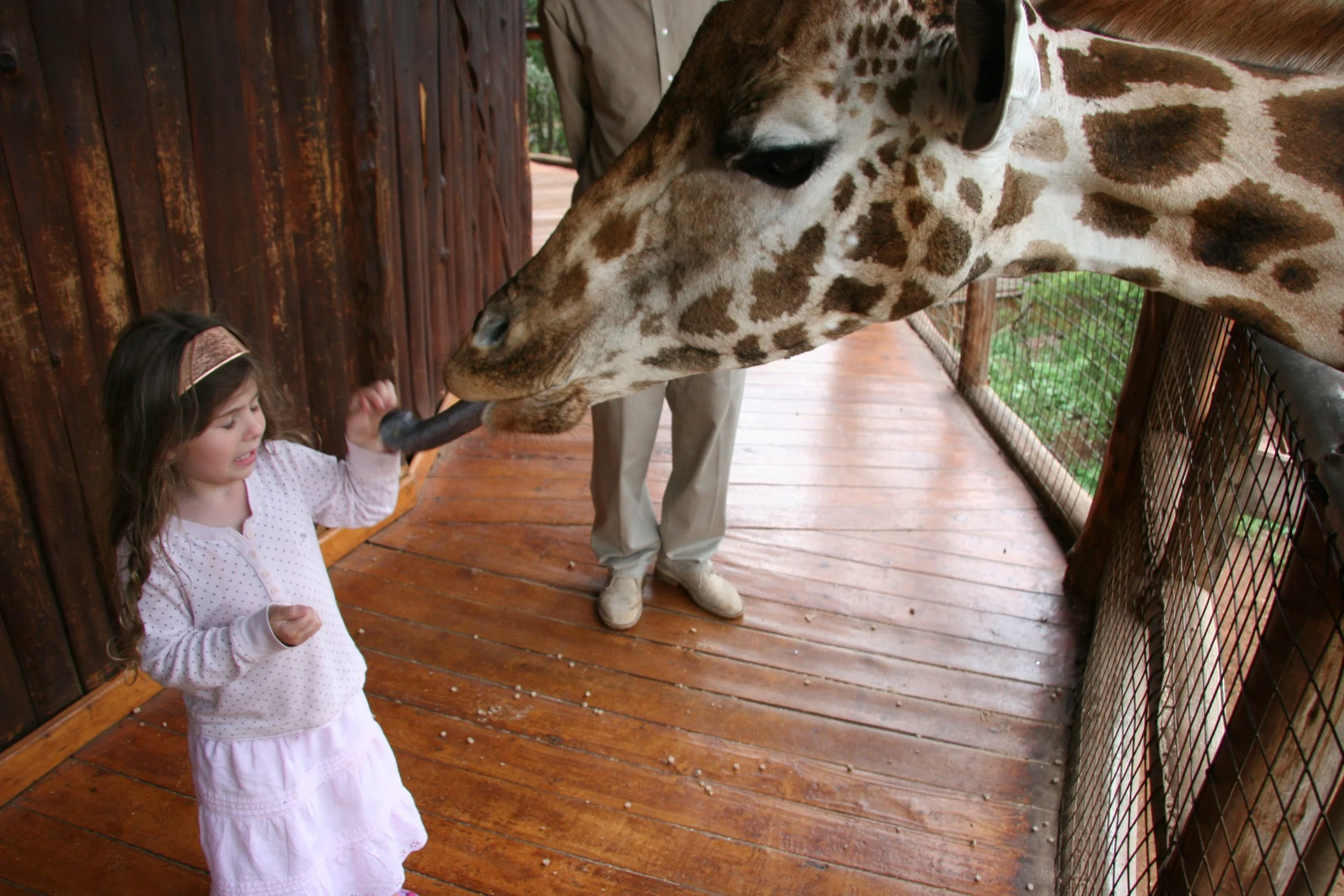 D 2008-4 Zanzibar and Tanzania 32.jpg