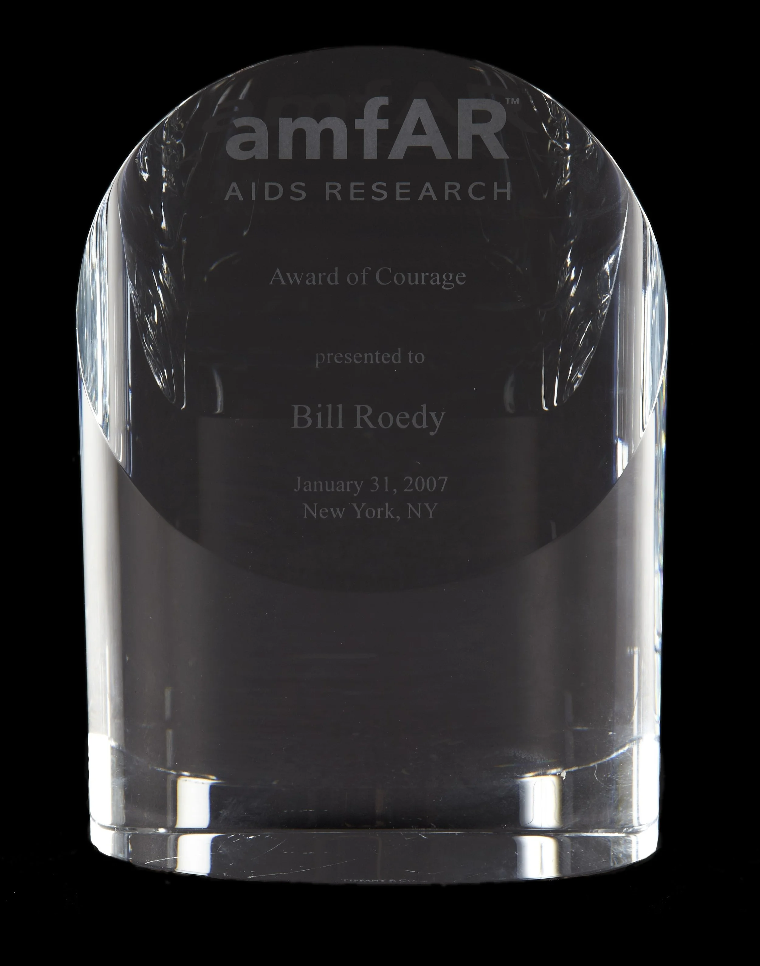 2007 amfAR Award of Courage