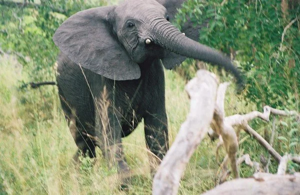 B 2005-2 Kenya 25.jpg