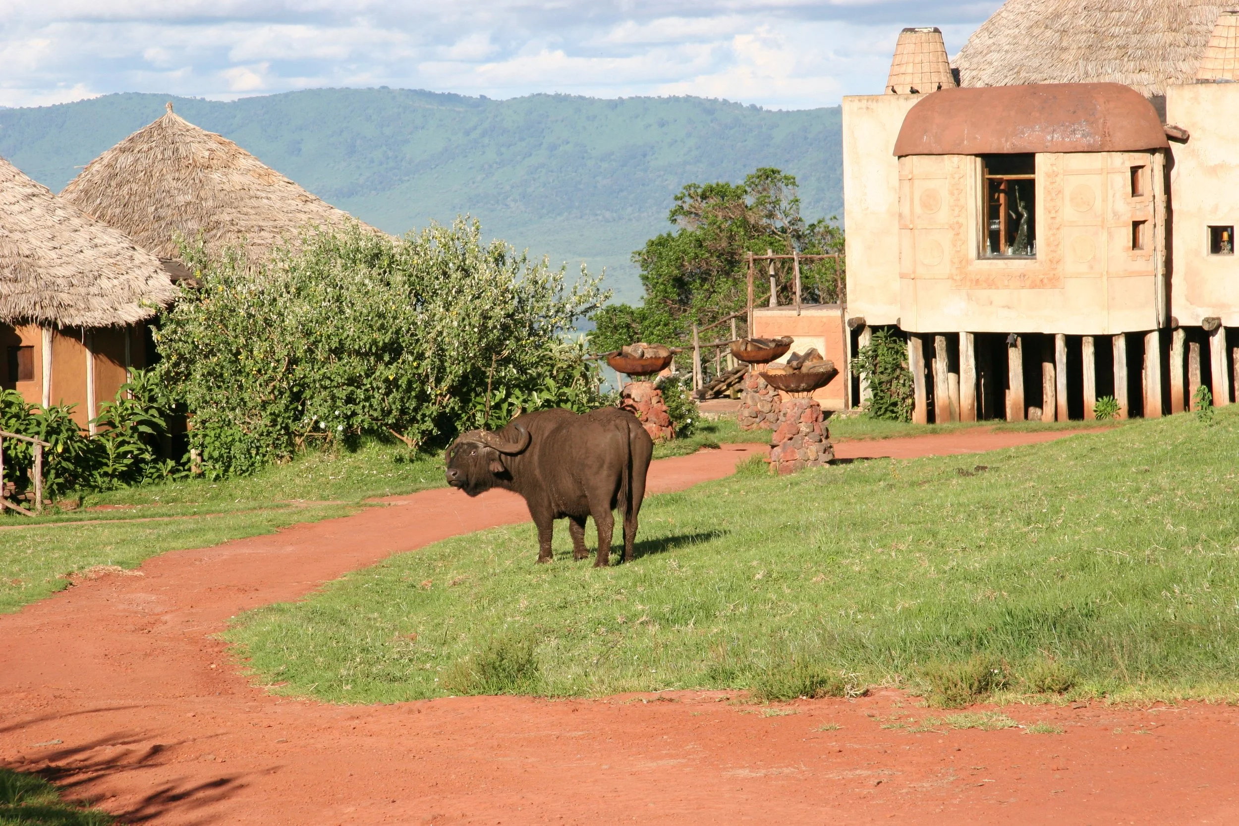 D 2008-4 Zanzibar and Tanzania 17.jpg