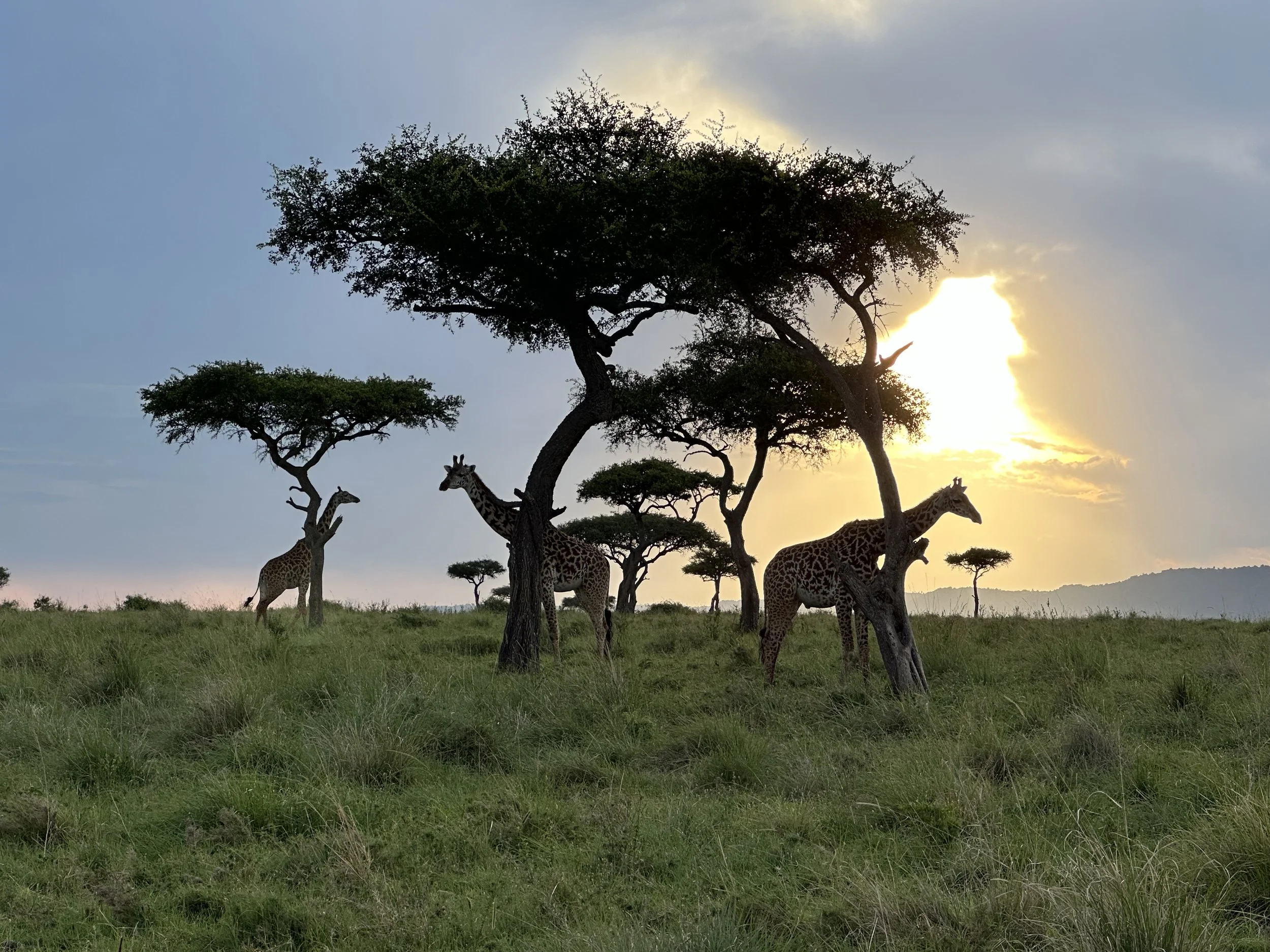 G 2024 Kenya 19.jpeg