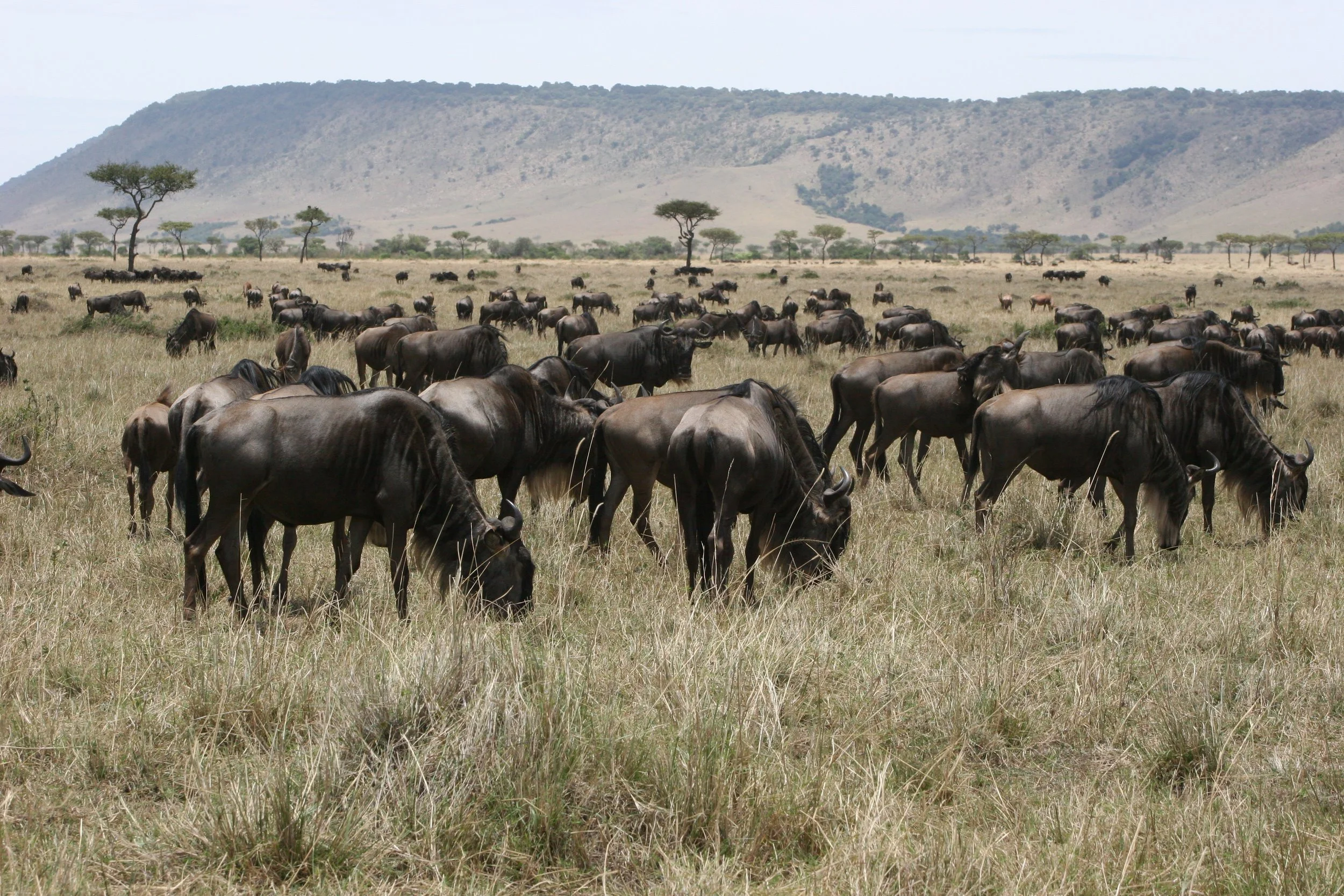 E 2009-10 Kenya 4.jpg