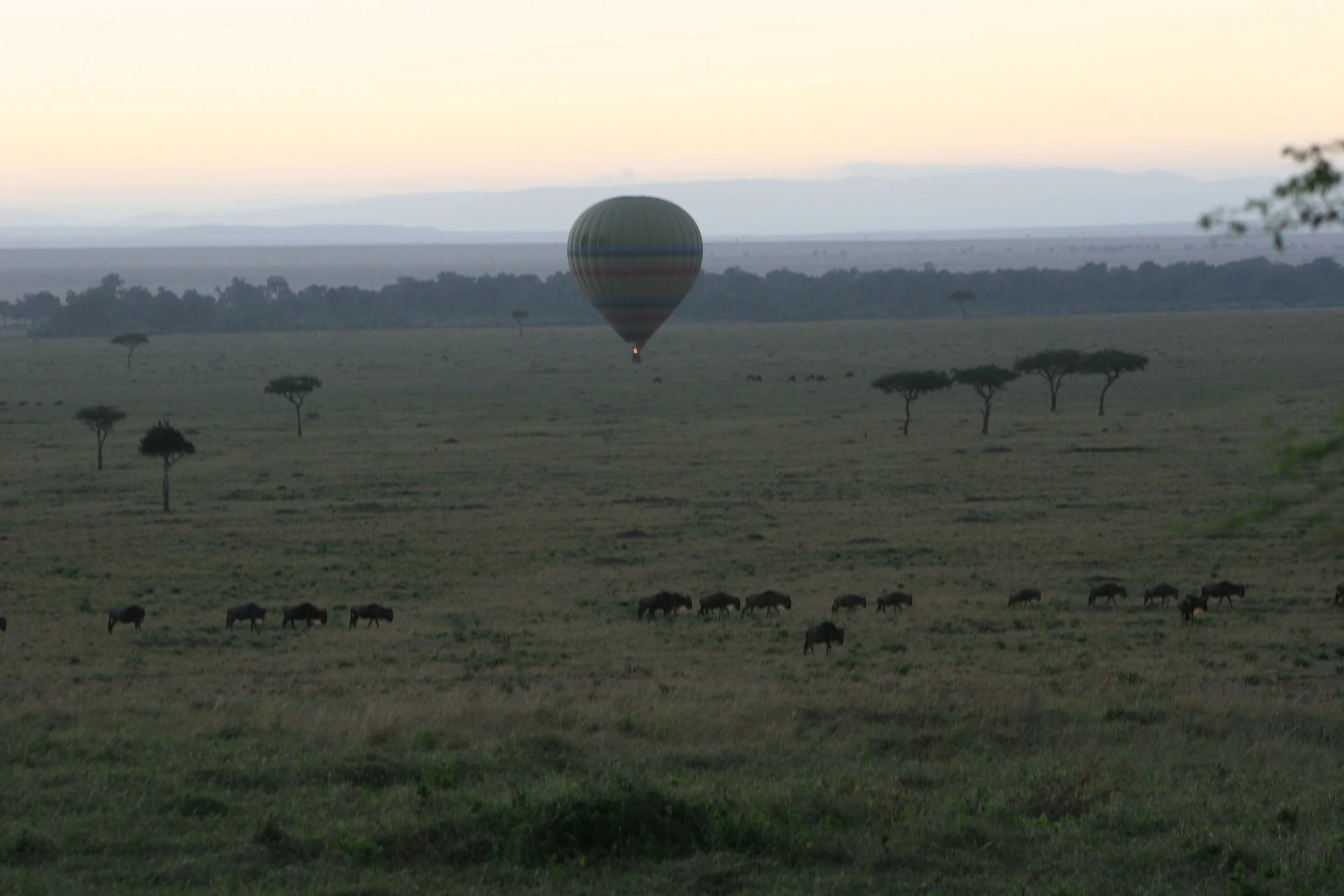 E 2009-10 Kenya 14.jpg