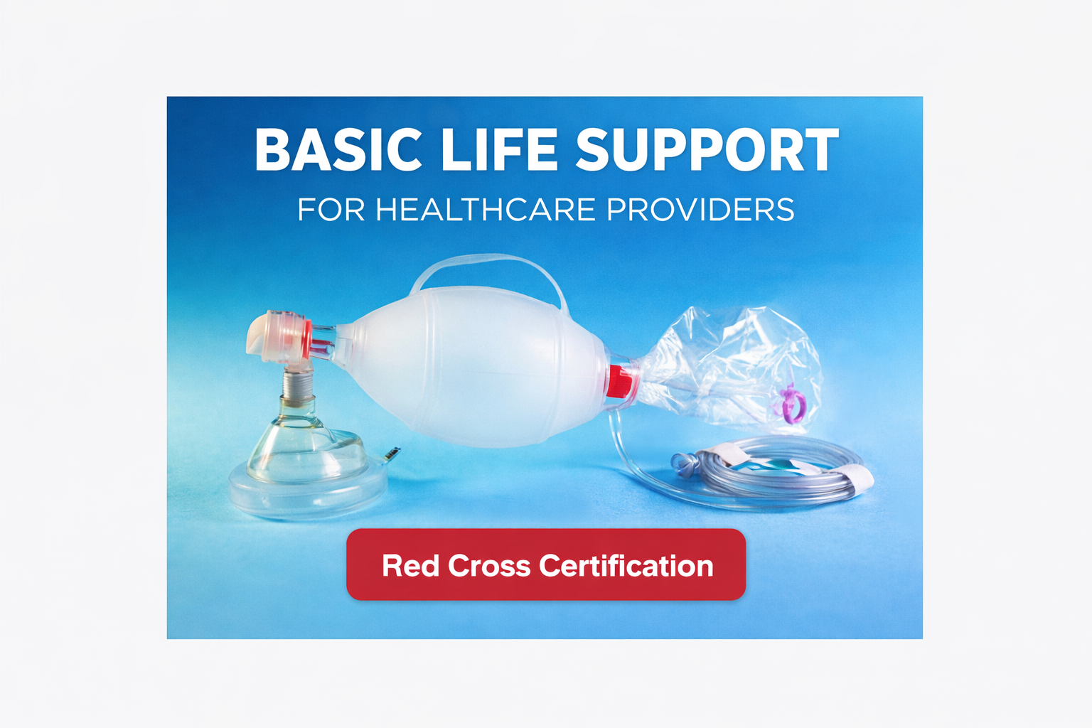 website photo store enhanced.png