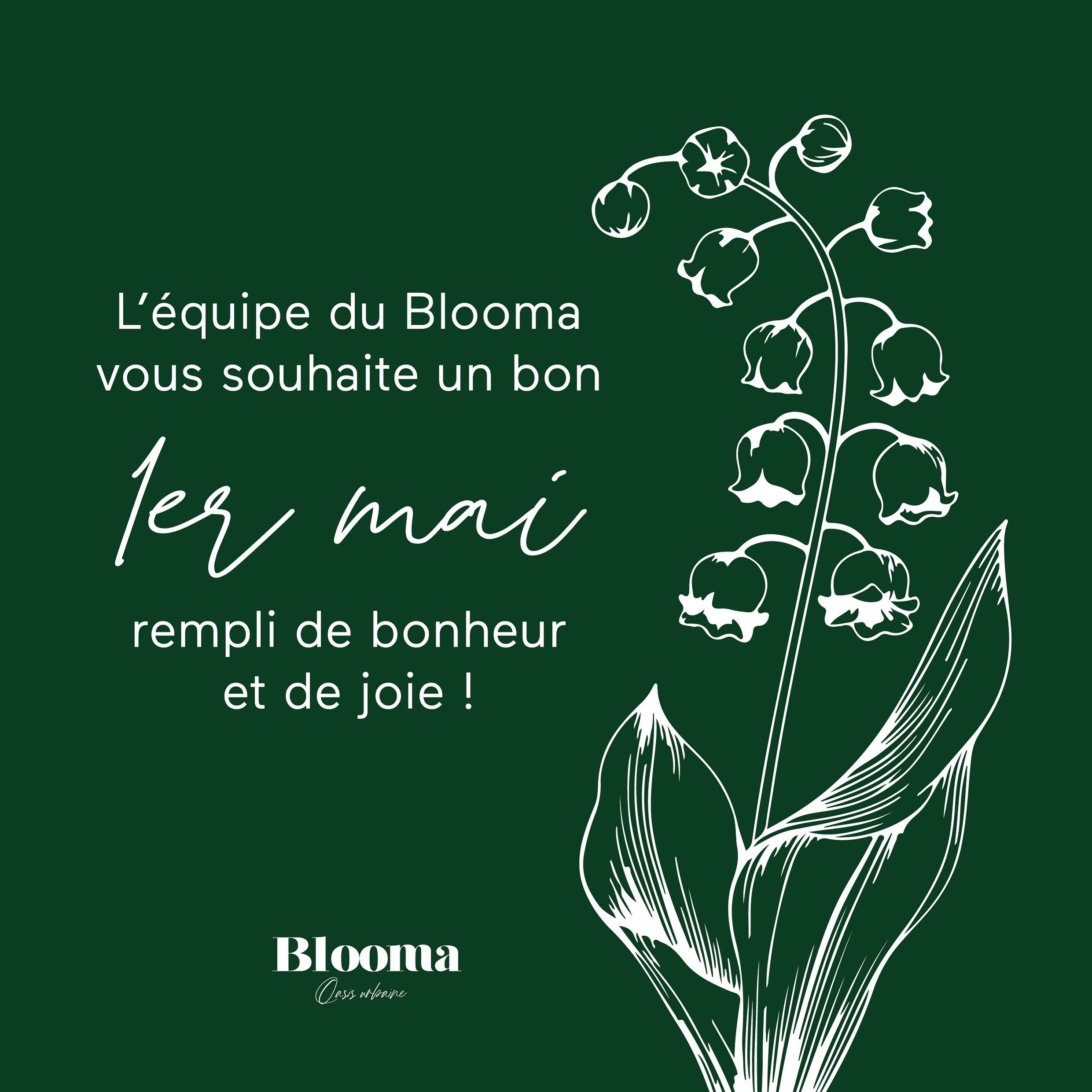 Toute l&rsquo;&eacute;quipe du Blooma vous souhaite un bon 1er Mai ! ✨ Que cette journ&eacute;e soit aussi douce que le parfum du muguet qui &eacute;veille nos sens. 🌿 

✏️ Visuel @iamsolenne 

#1ermai #1ermai🌱 #muguet #lilyofthevalley #flower #cha
