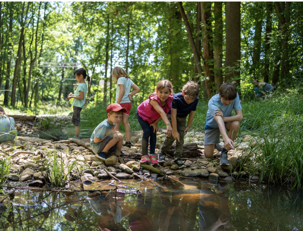 Encinitas Explorers Camp - Week 1: Nature’s Architects