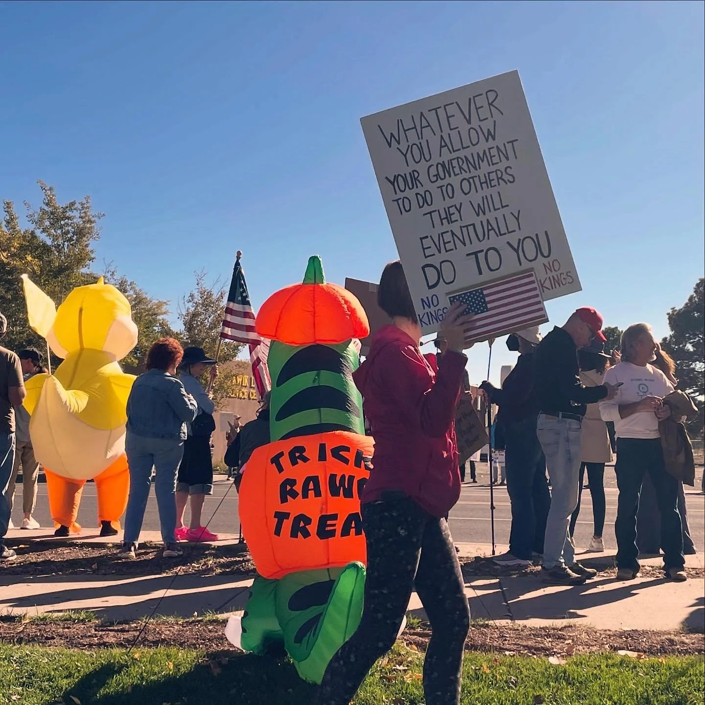 No 🦆ing Kings. #nokings #losalamos