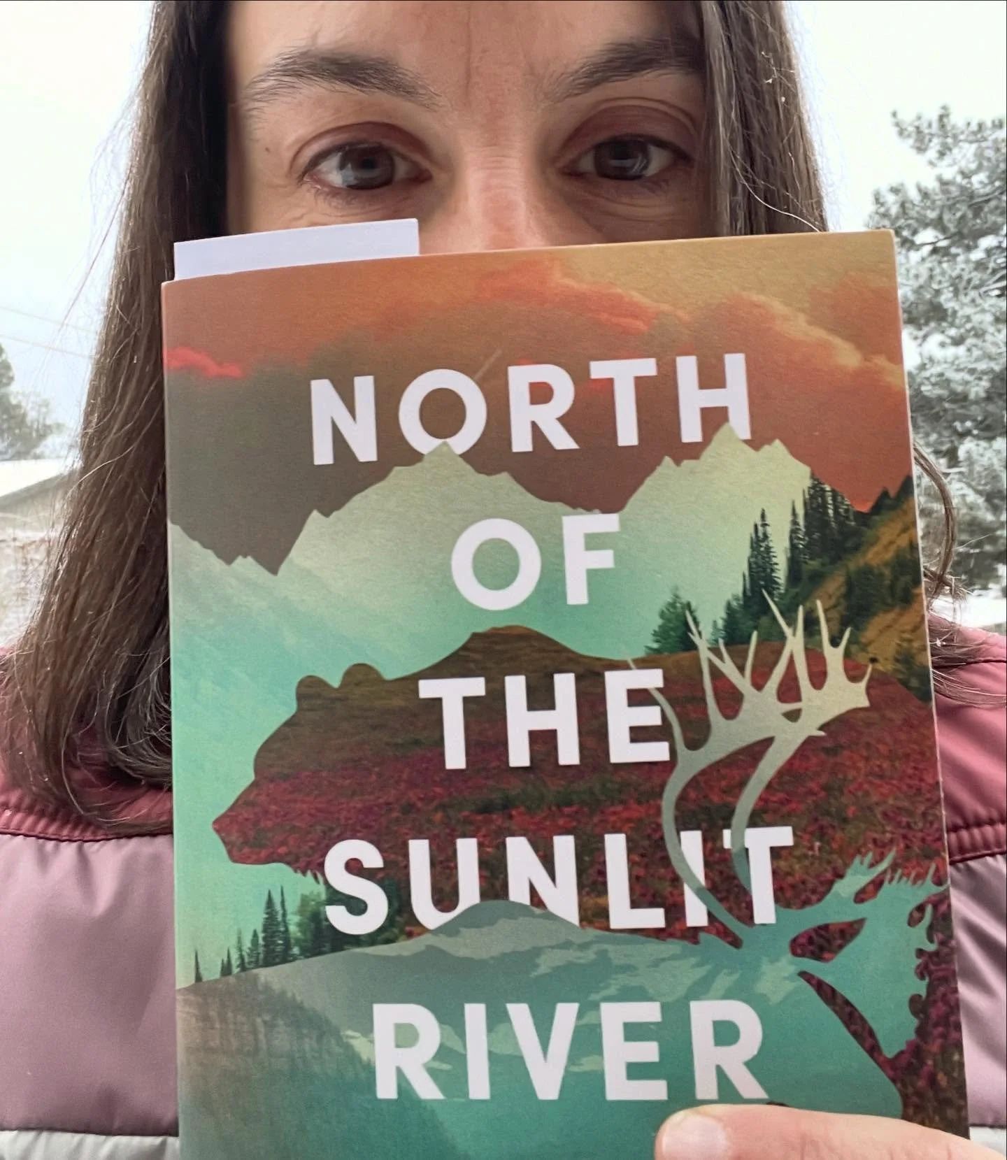 It&rsquo;s snowing and a new little free library popped up a few steps away from my house so I took a walk. Of course, living in a lab town, there are books like &ldquo;Group Theory and Chemistry&rdquo; and (not pictured) &ldquo;Art and Math.&rdquo; 