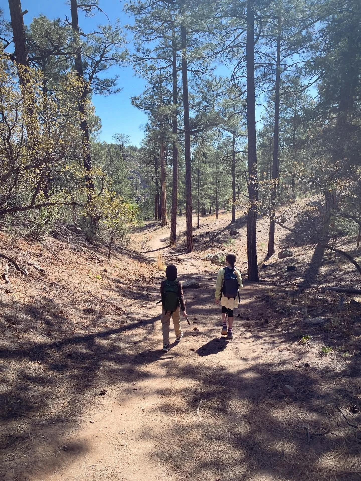 On 🌎 Day we walk to @peecnature ☀️🌿🌻 So lucky!

#losalamos #newmexico #earthday