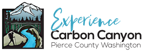 Experience the Carbon River Canyon