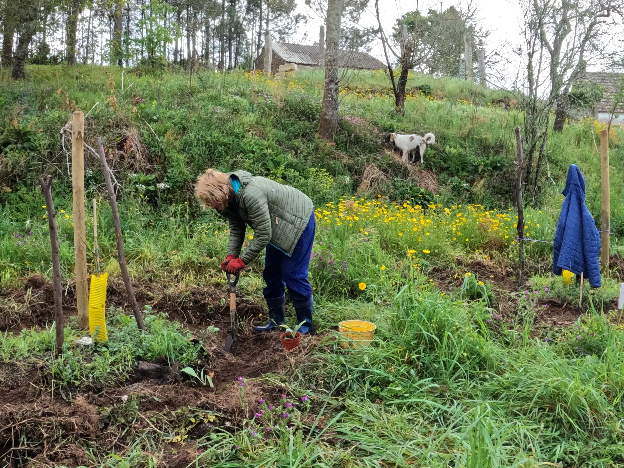 GPTempDownload 93.JPG