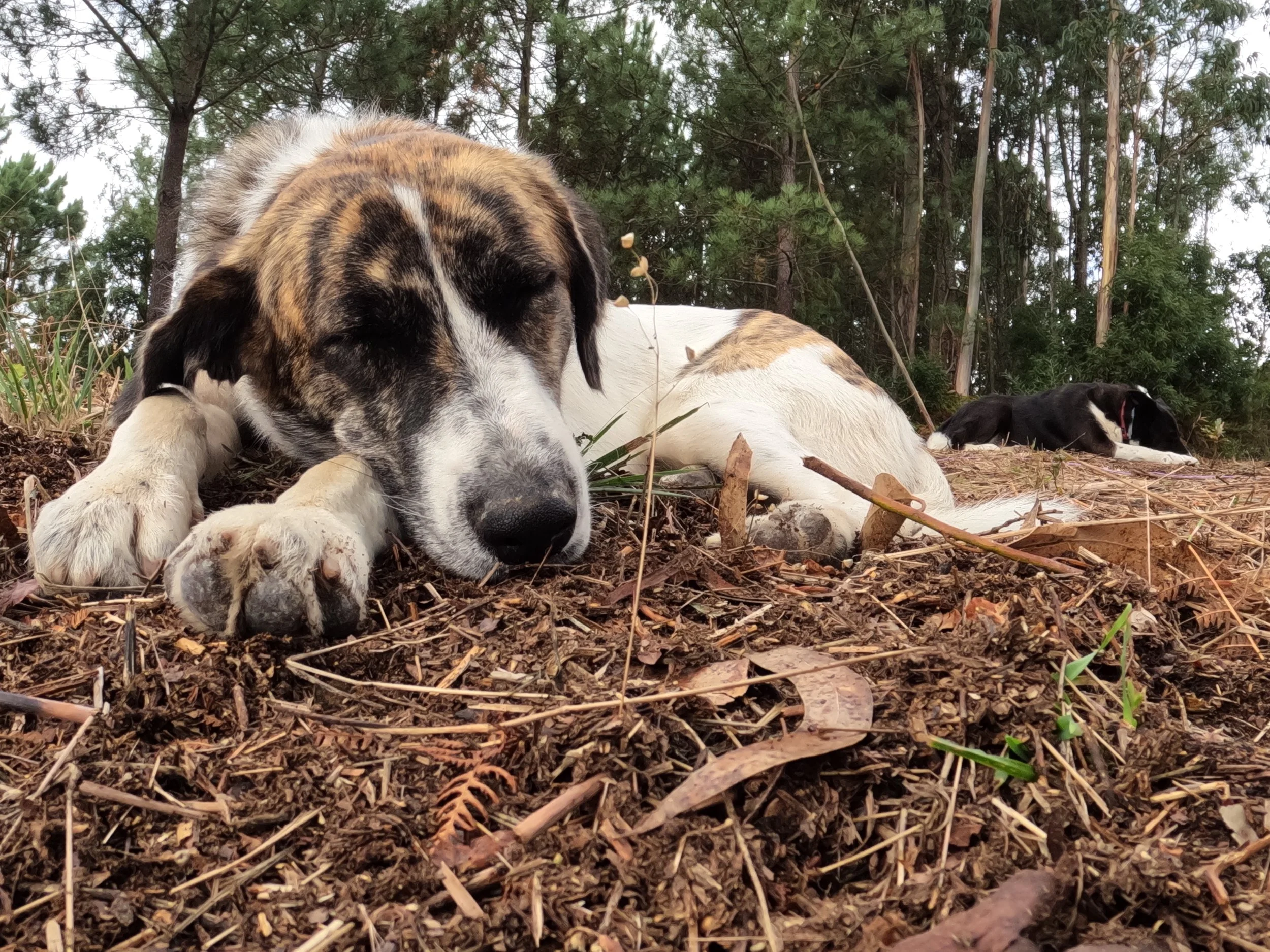 GPTempDownload 12.JPG