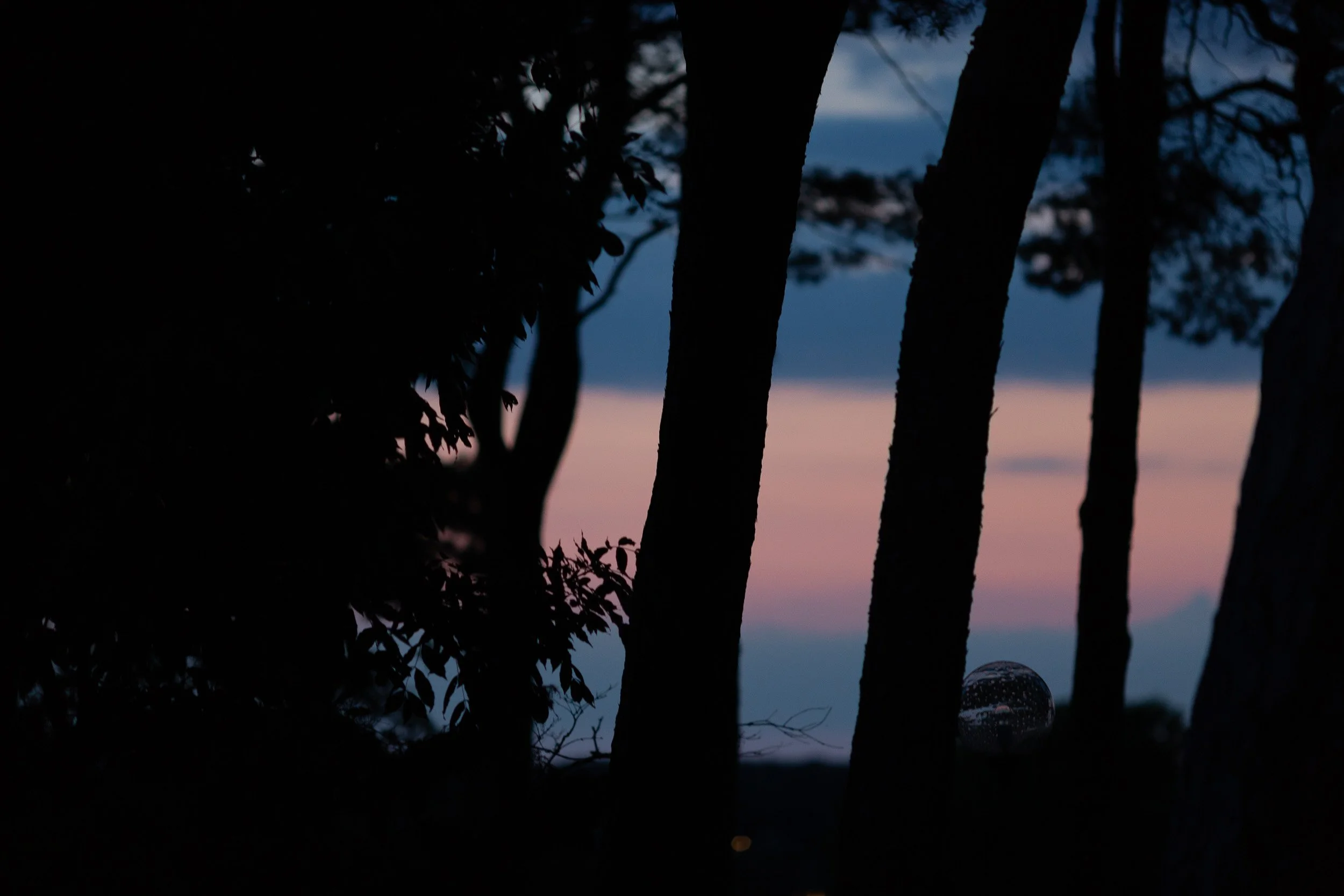 Pine hill