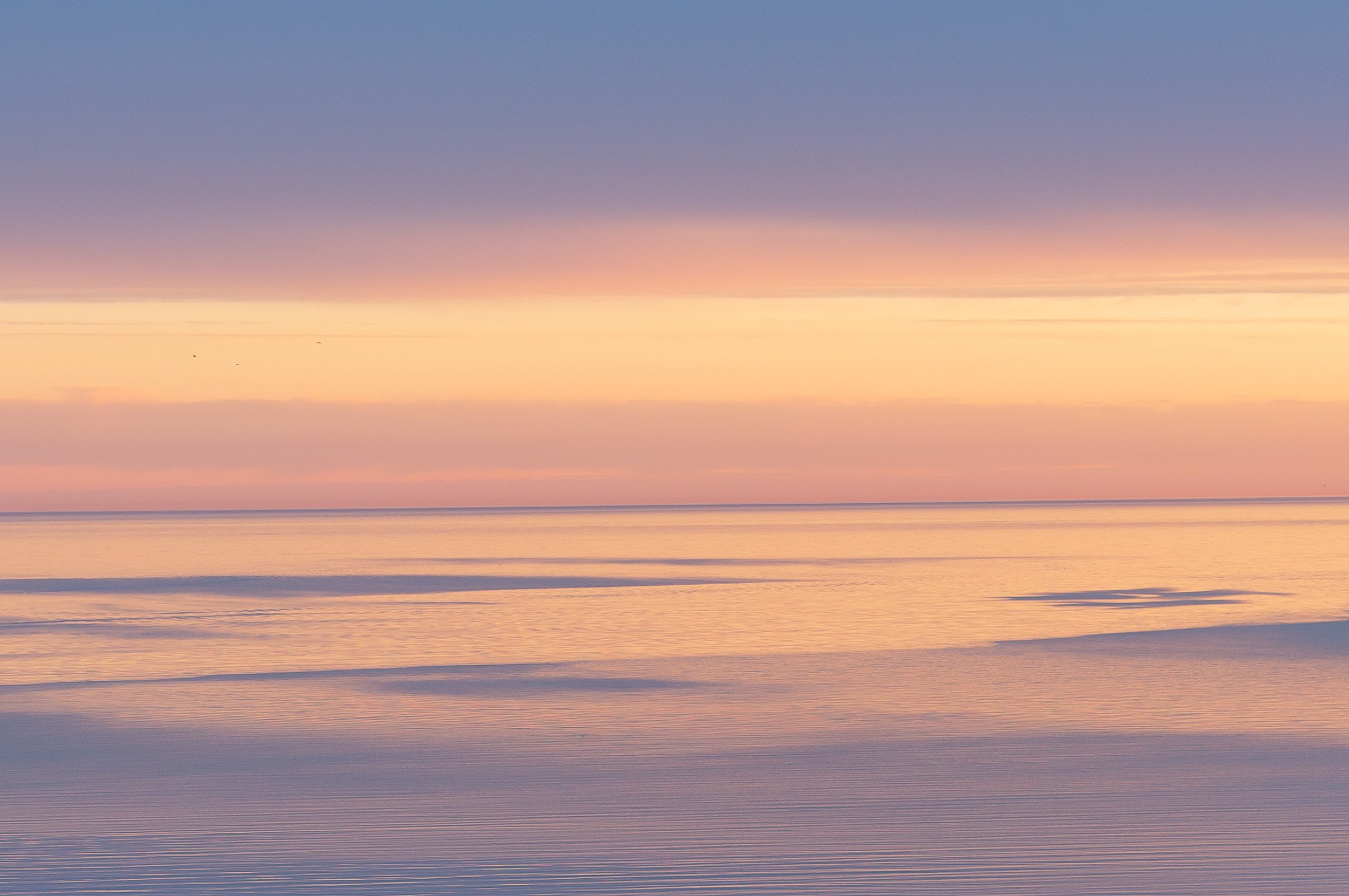 Yellow seas