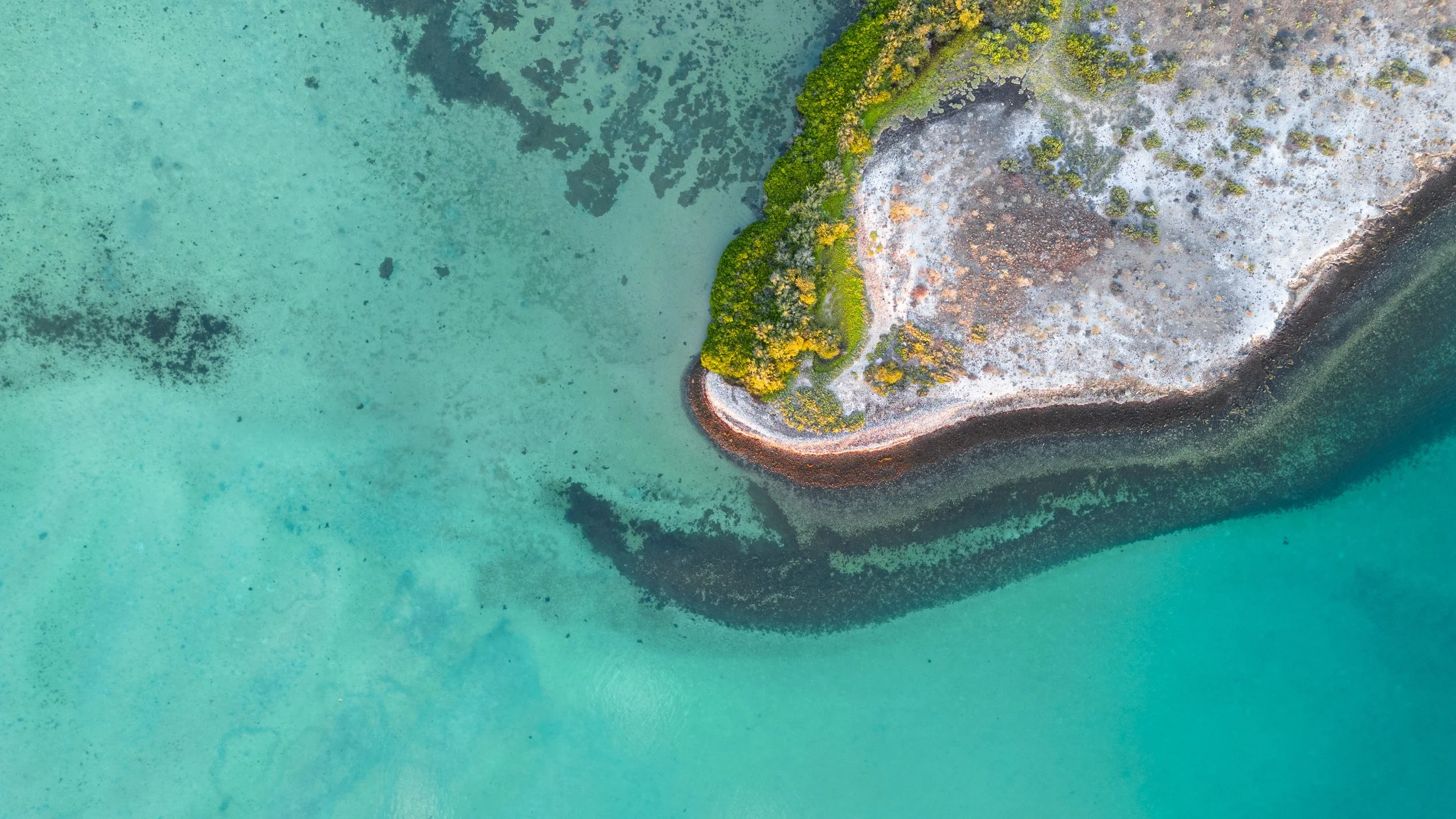 DJI_20230616084107_0222_D.jpg