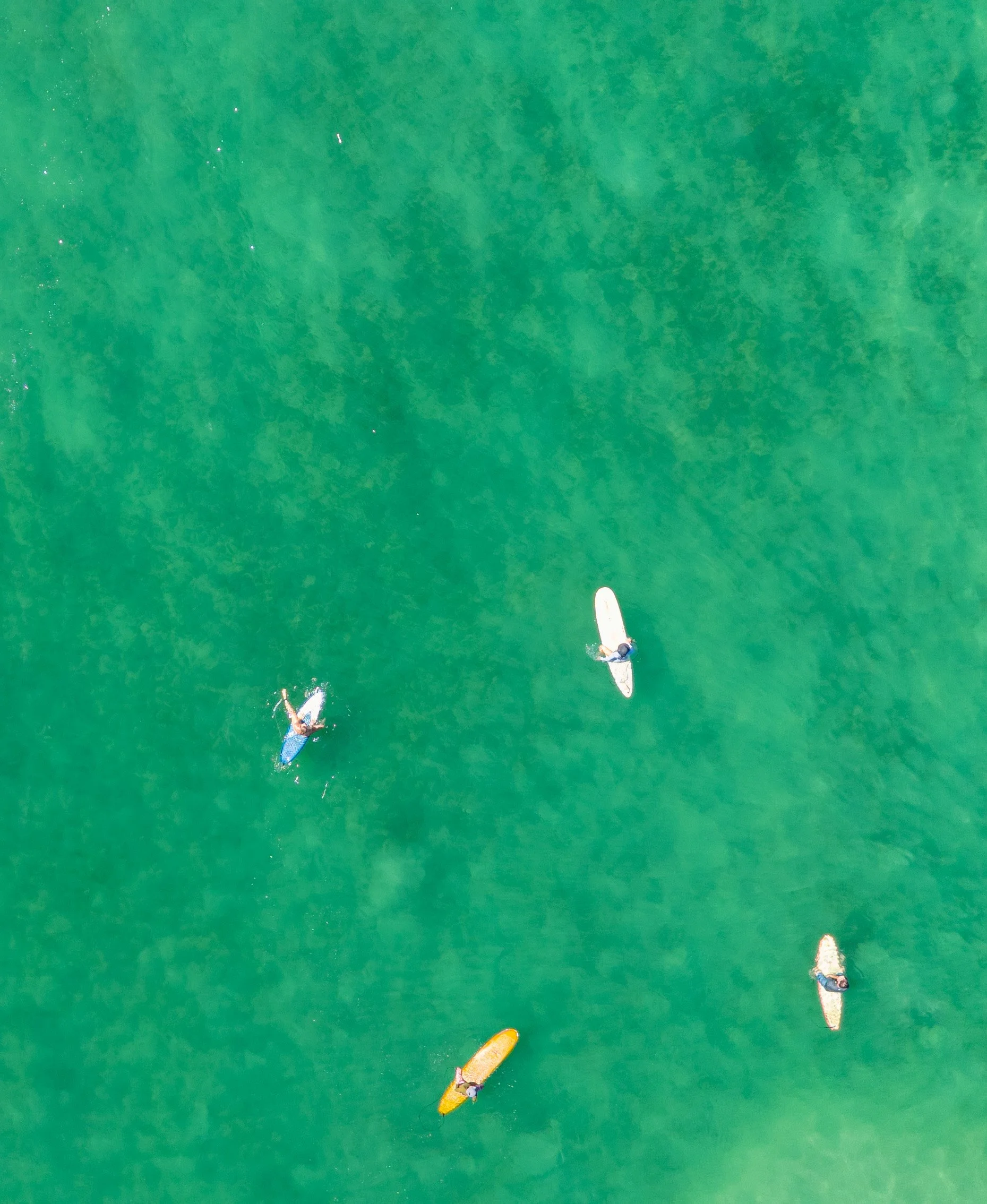 DJI_20230614123124_0138_D.jpg