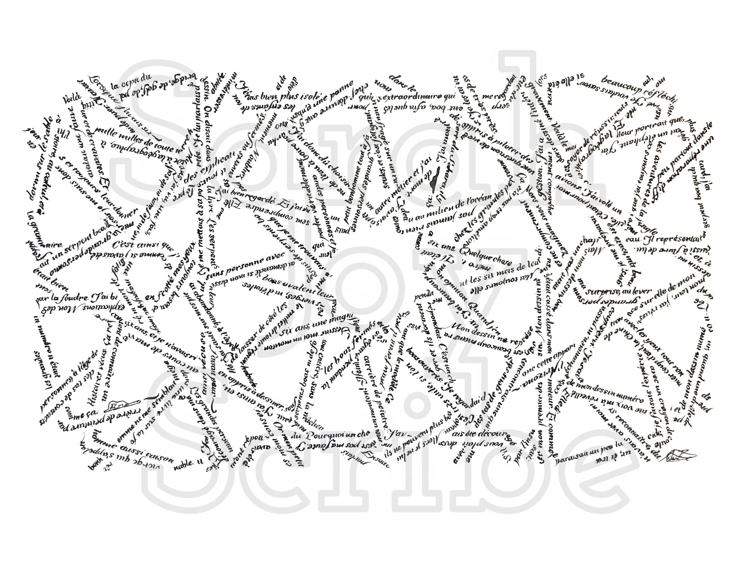 le petit prince micrography.jpg