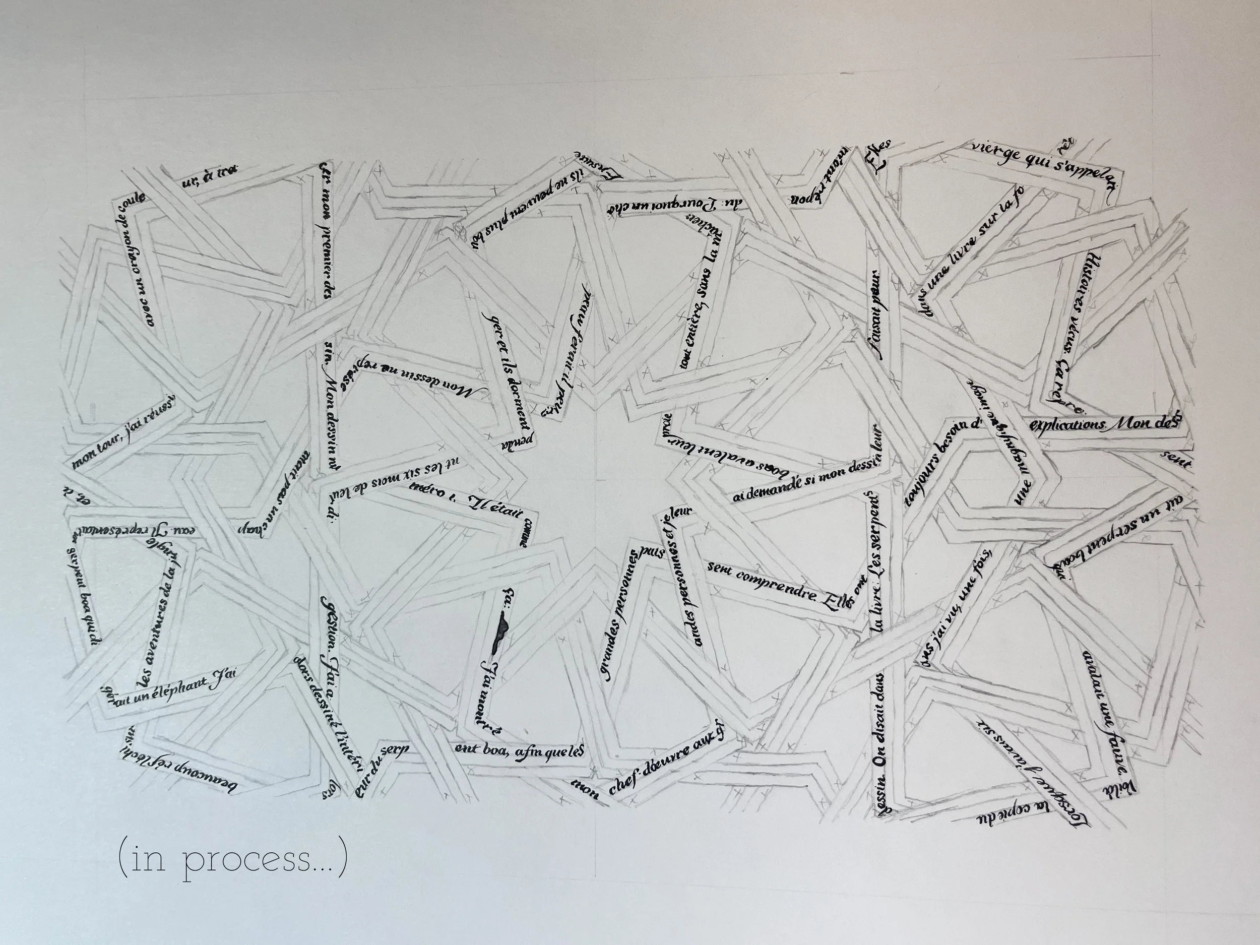 le petit prince wip photo.jpg