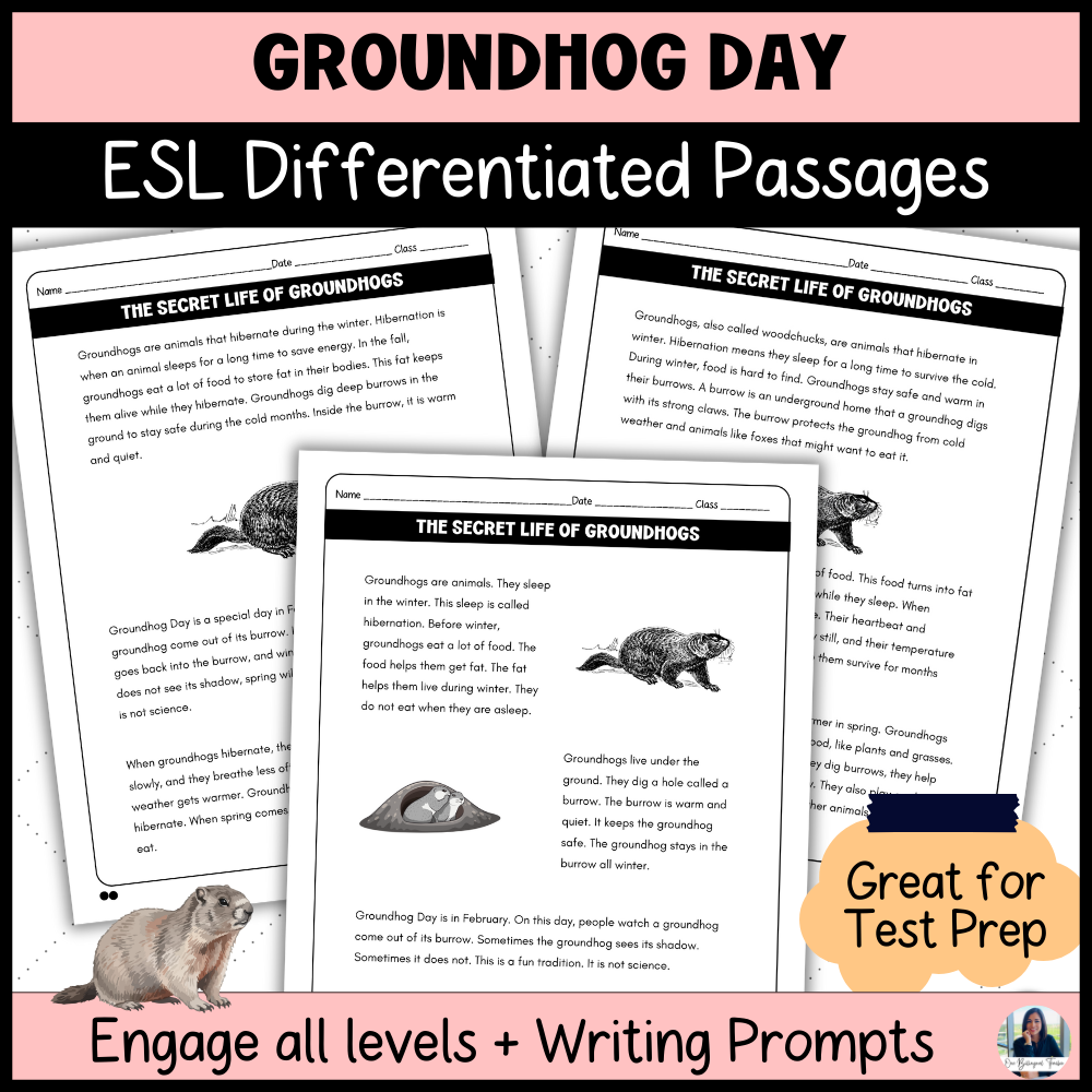 Groundhog Day Informational Text | Differentiated ESL Reading & Writing 6th-8th