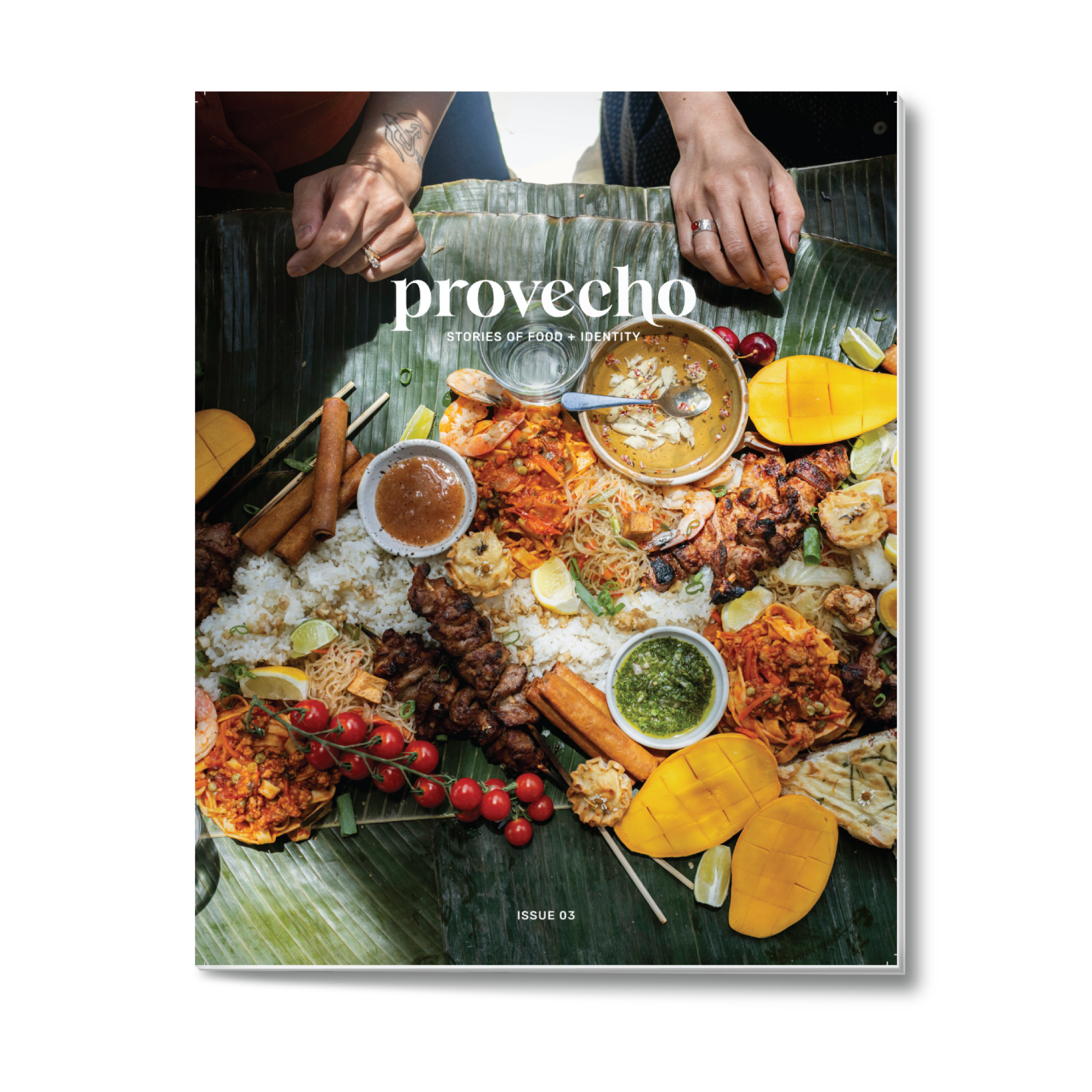 issue_03_cover.png