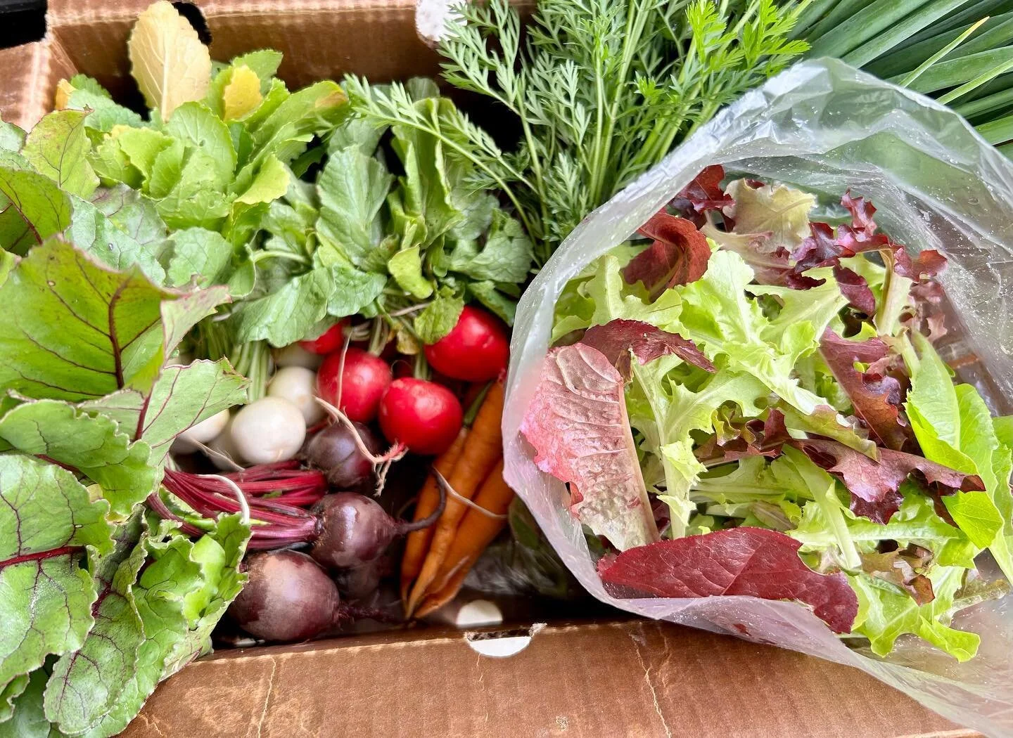 Farmer's Daughter Organics Organically Grown Produce Subscription