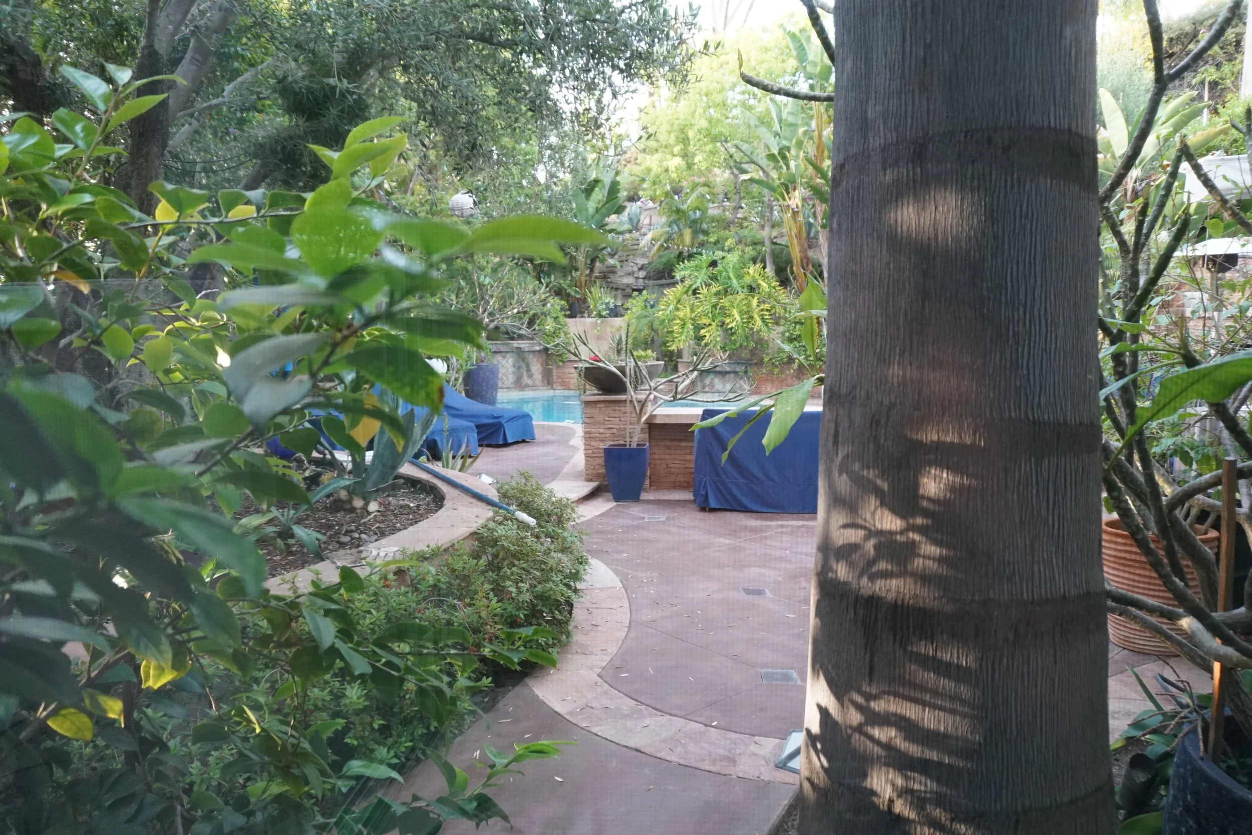 Crystal Vision Window Screen After.JPG