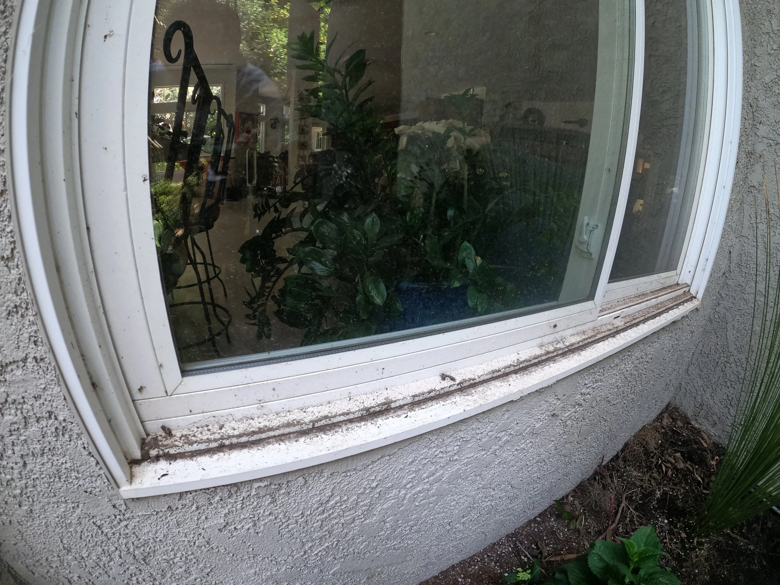 Crystal Vision Window 3 Before.JPG