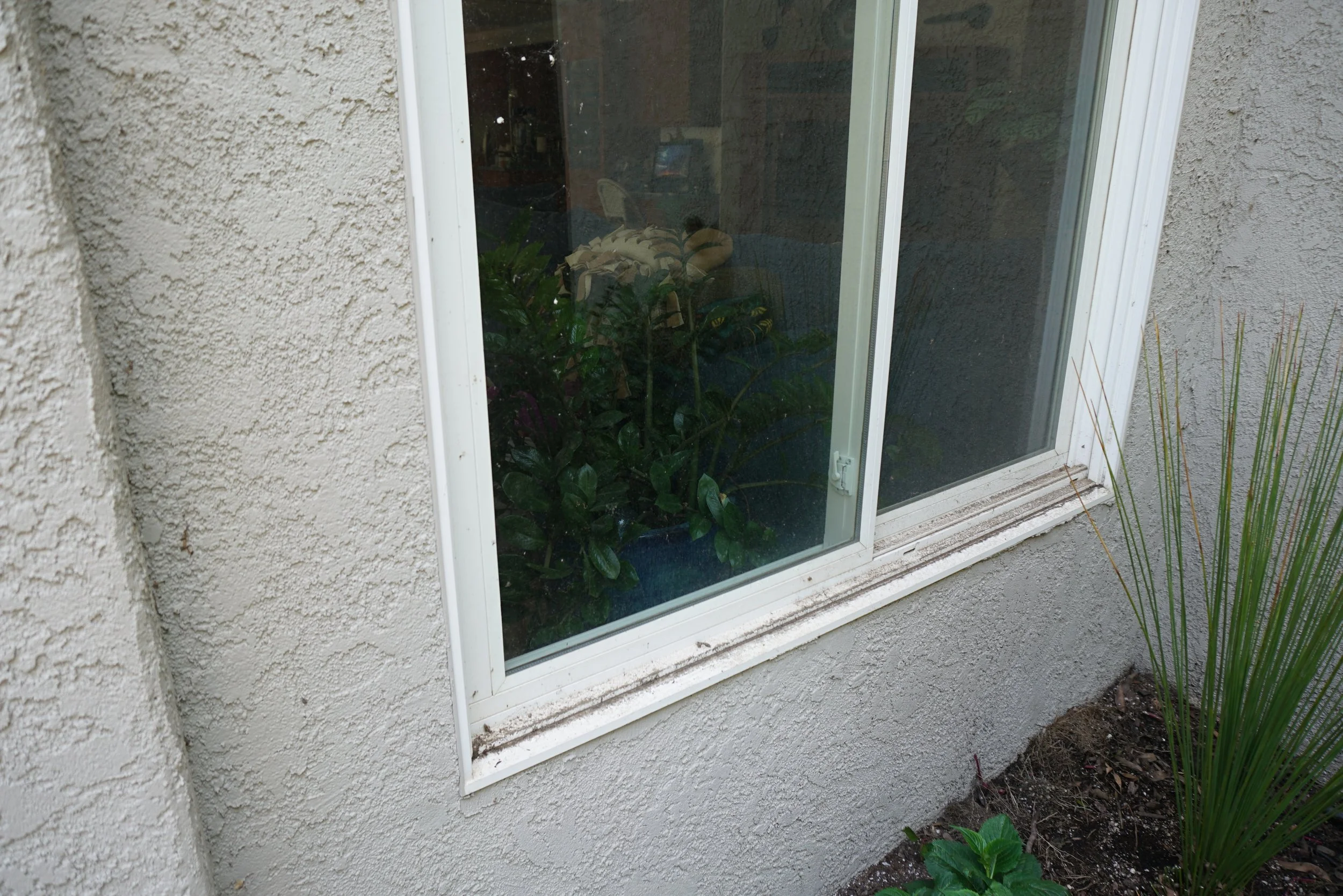 Crystal Vision Window 2 Before.JPG