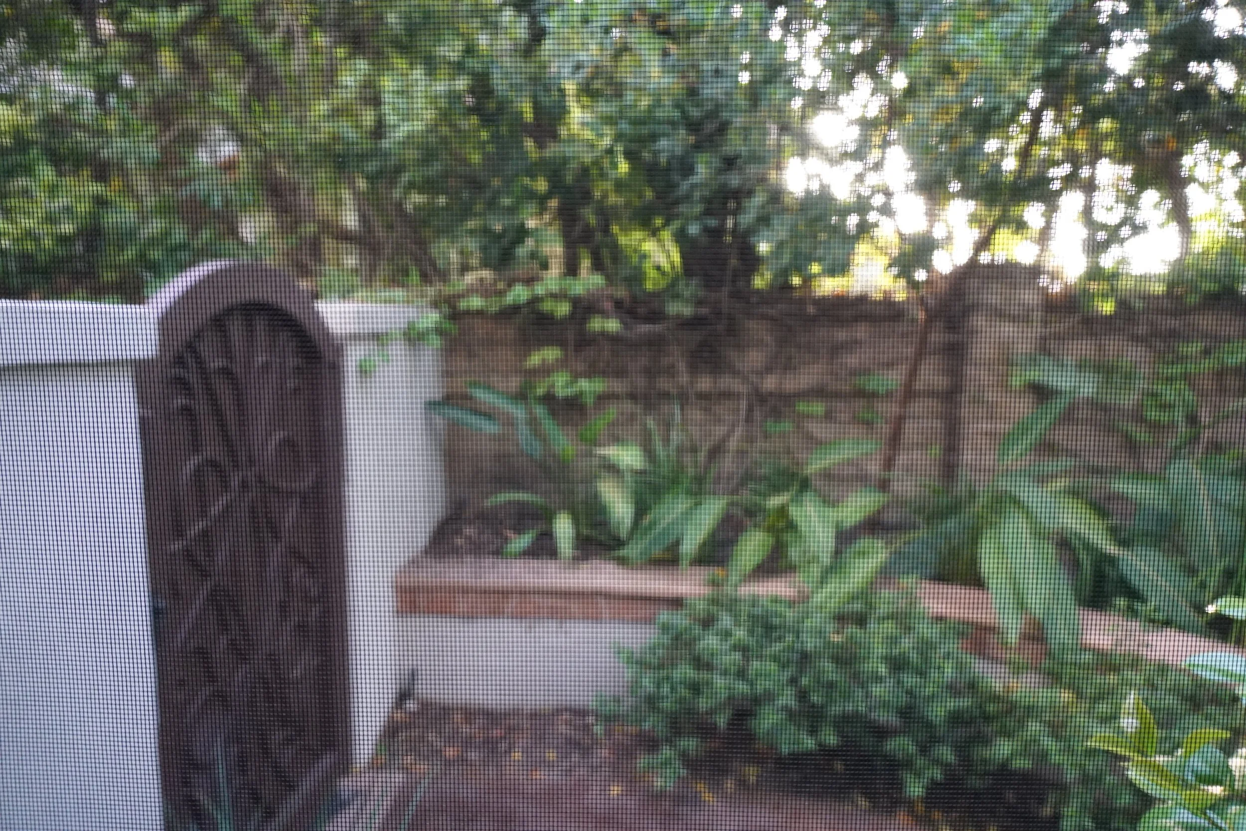 Crystal Vision Window Screen 2 After.JPG