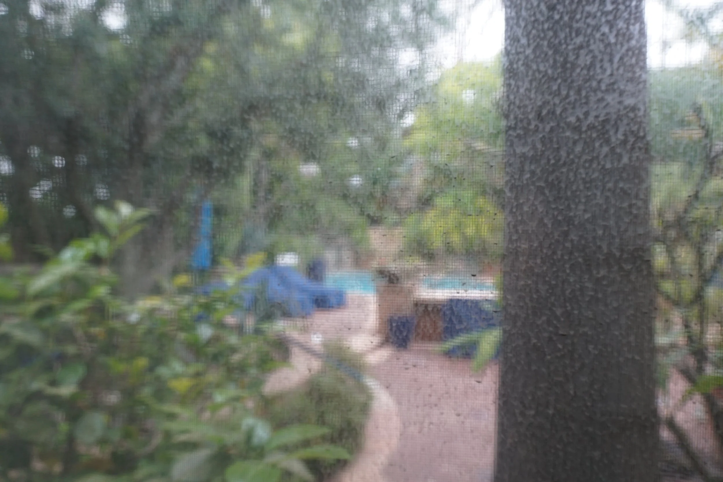 Crystal Vision Window Screen Before.JPG