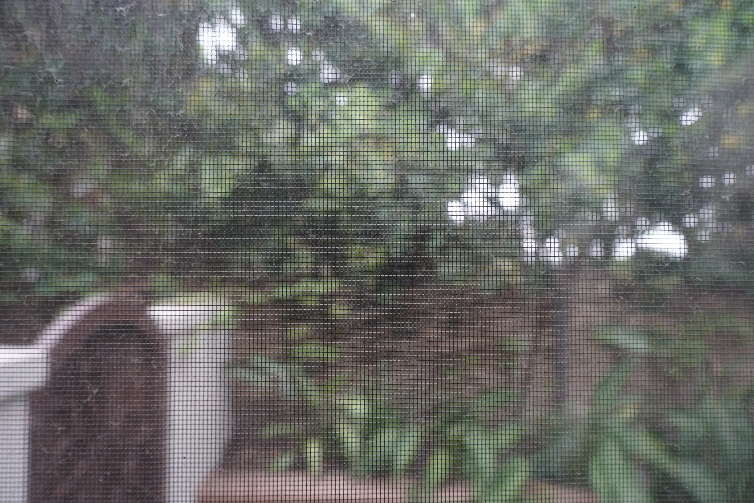 Crystal Vision Window Screen 2 Before.JPG