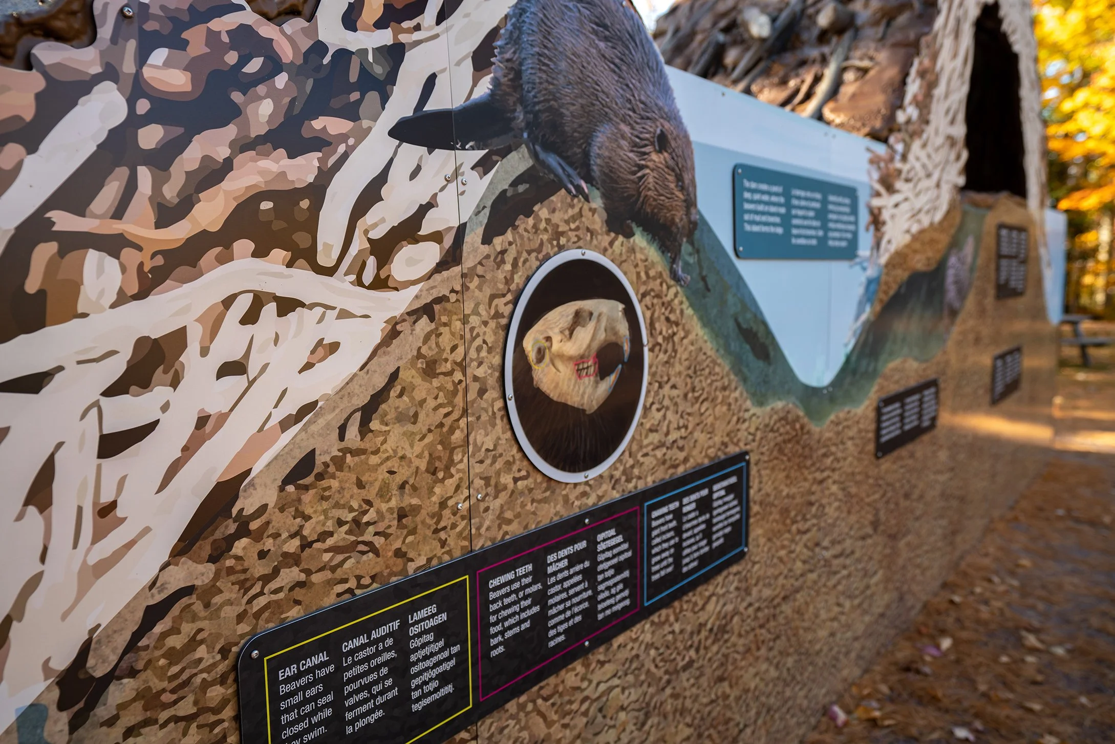 KOUCHIBOUGUAC Oct 2022-01746.jpg