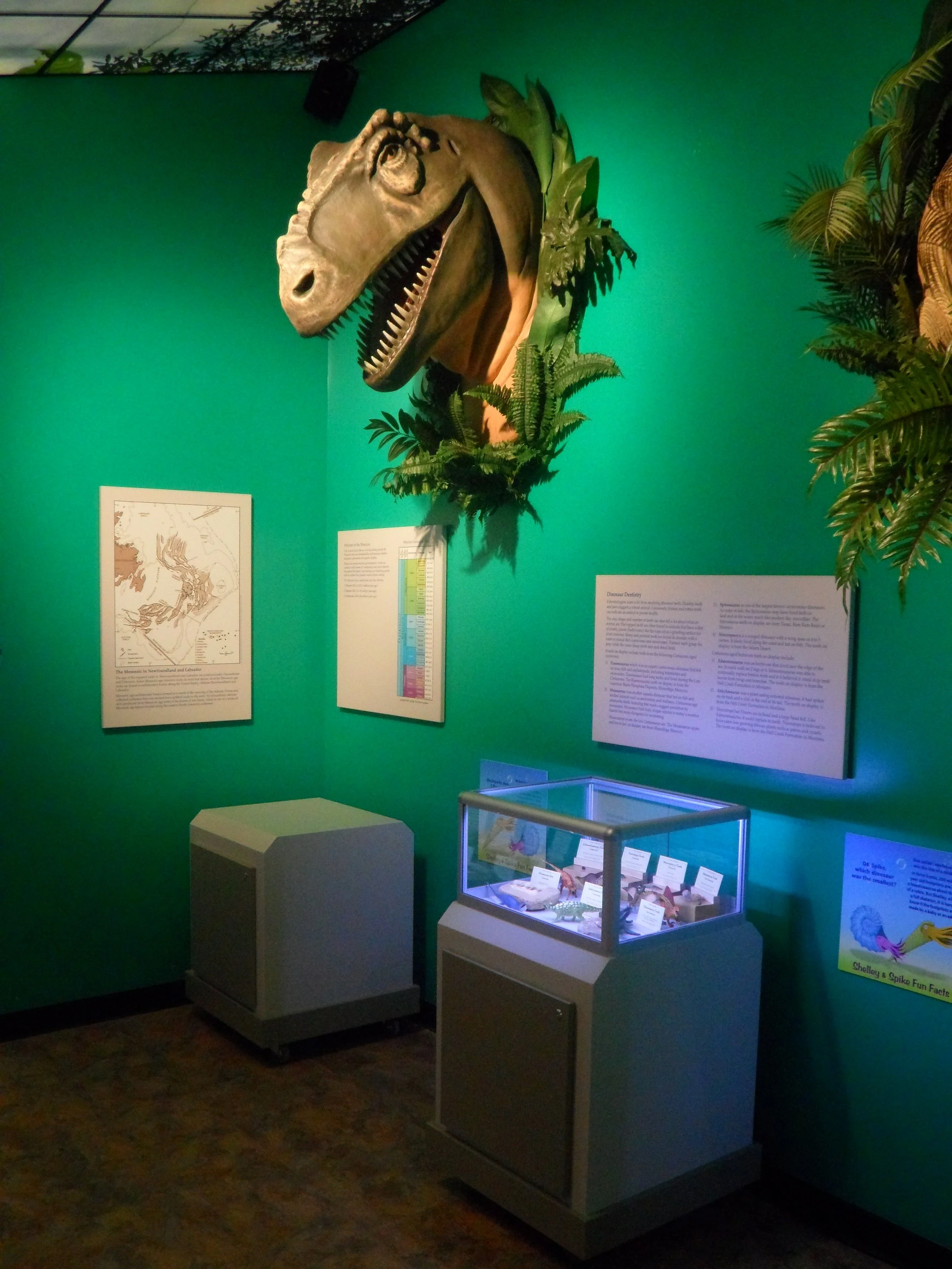 Fortune Head Geology Centre