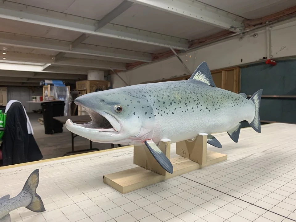 Mainland Species at Risk & Salmon Lifecycle Models